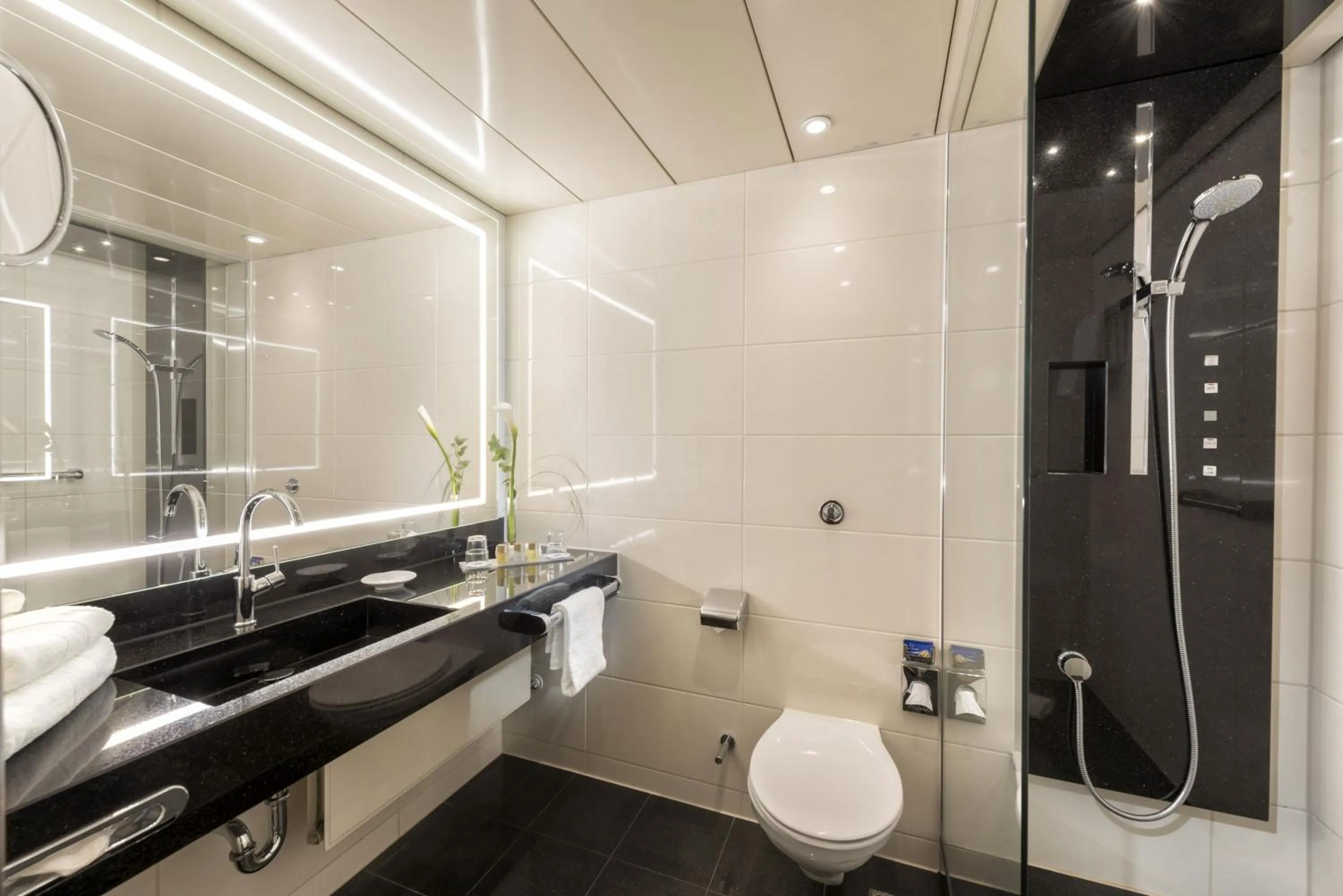 Bathroom in Maritim Hotel Bonn