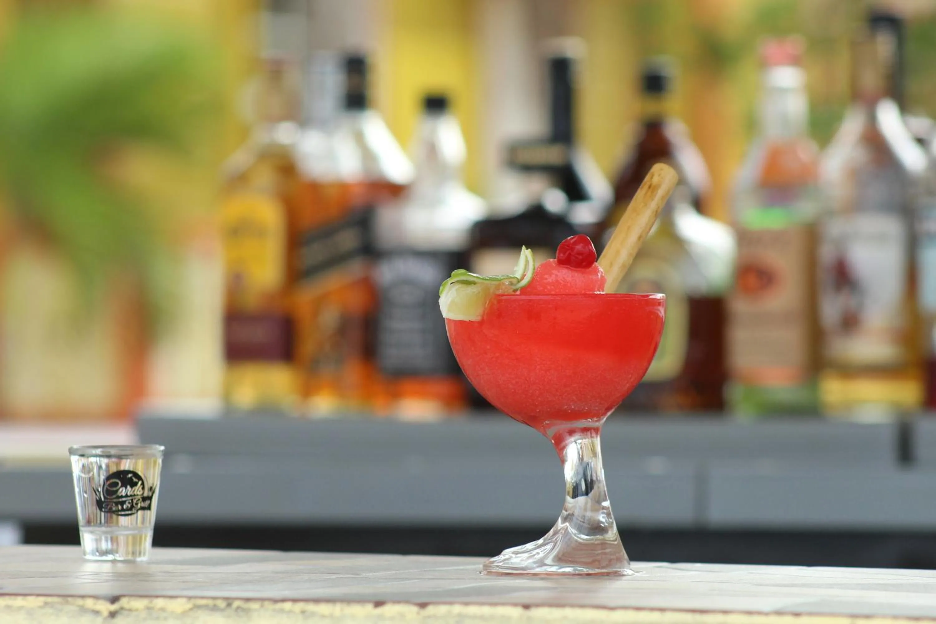 Lounge or bar in Tropical Paradise Express