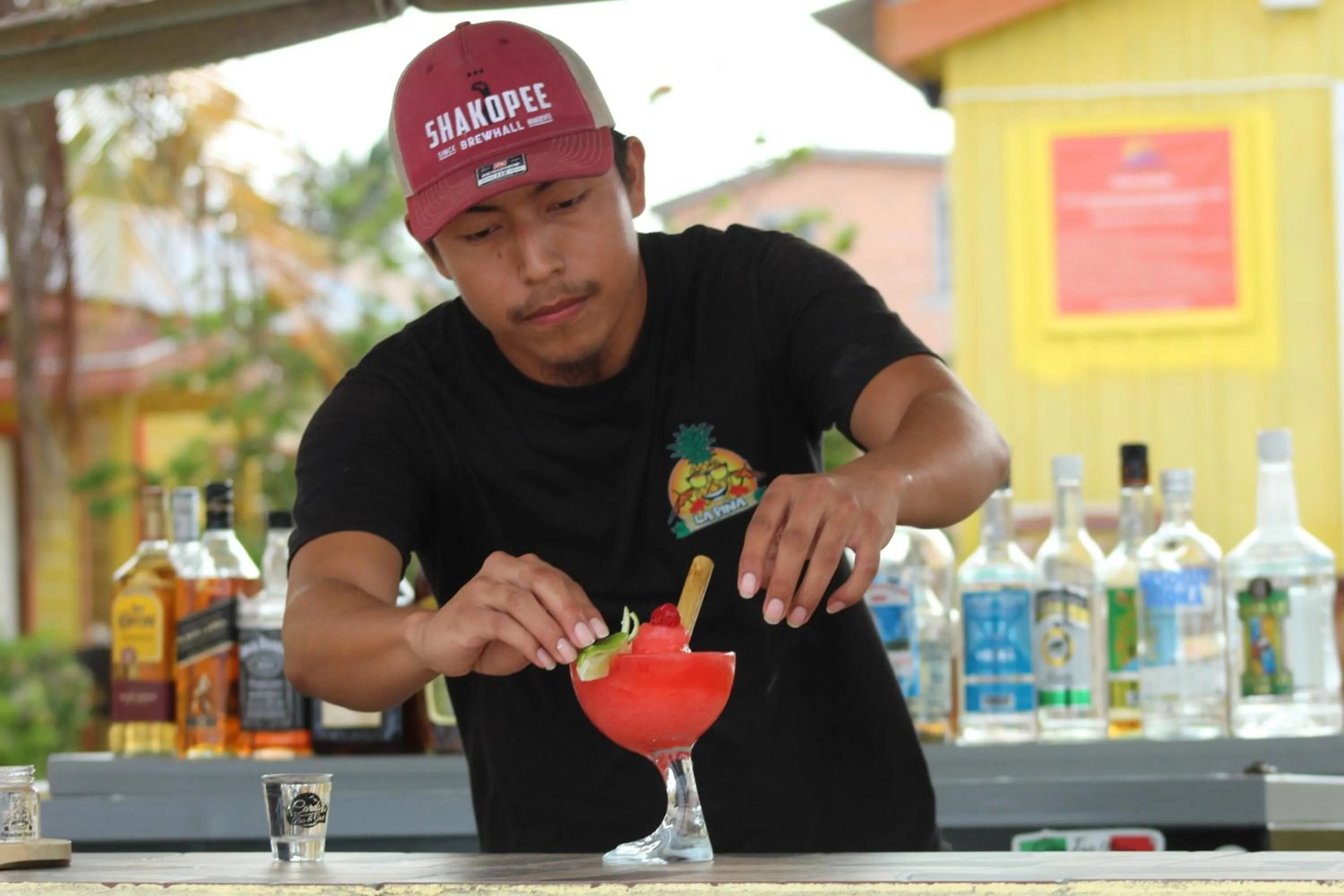 Lounge or bar in Tropical Paradise Express