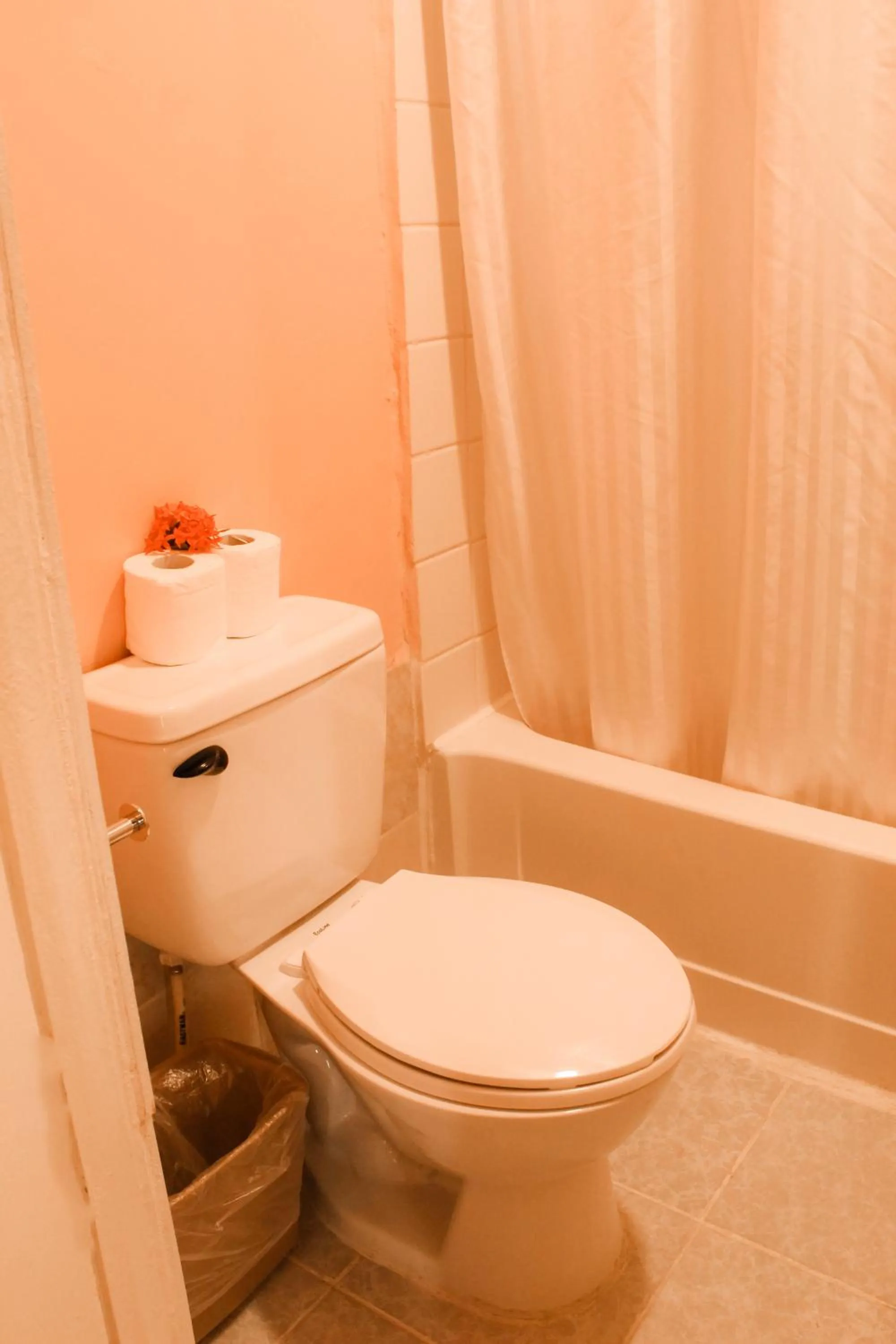 Toilet in Tropical Paradise Express