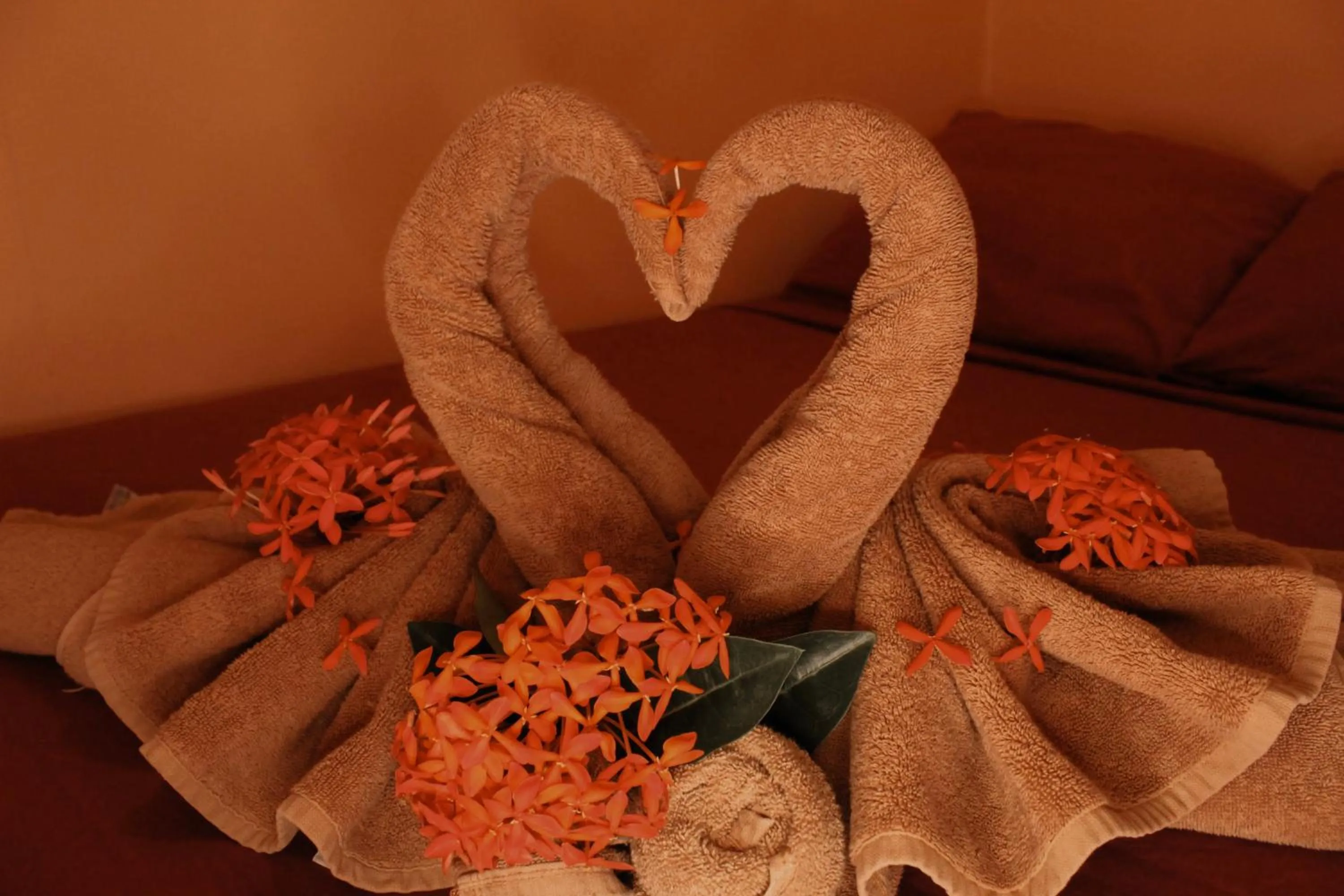 towels in Tropical Paradise Express