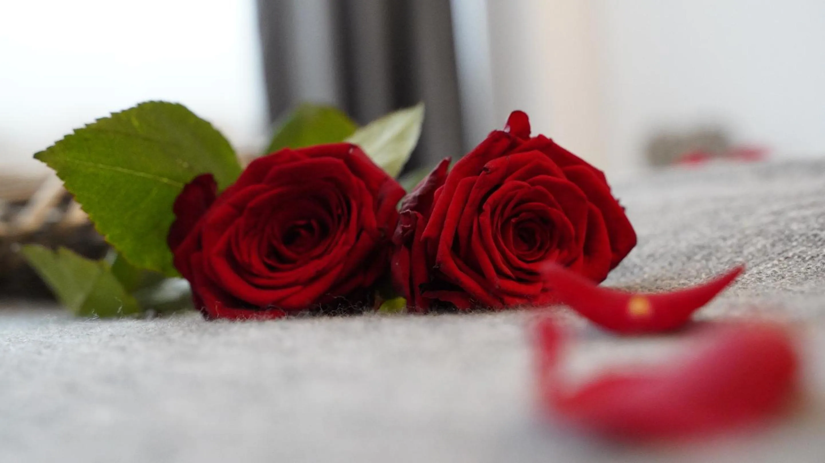 Other in Amical Hotel Hagen - Am Hauptbahnhof