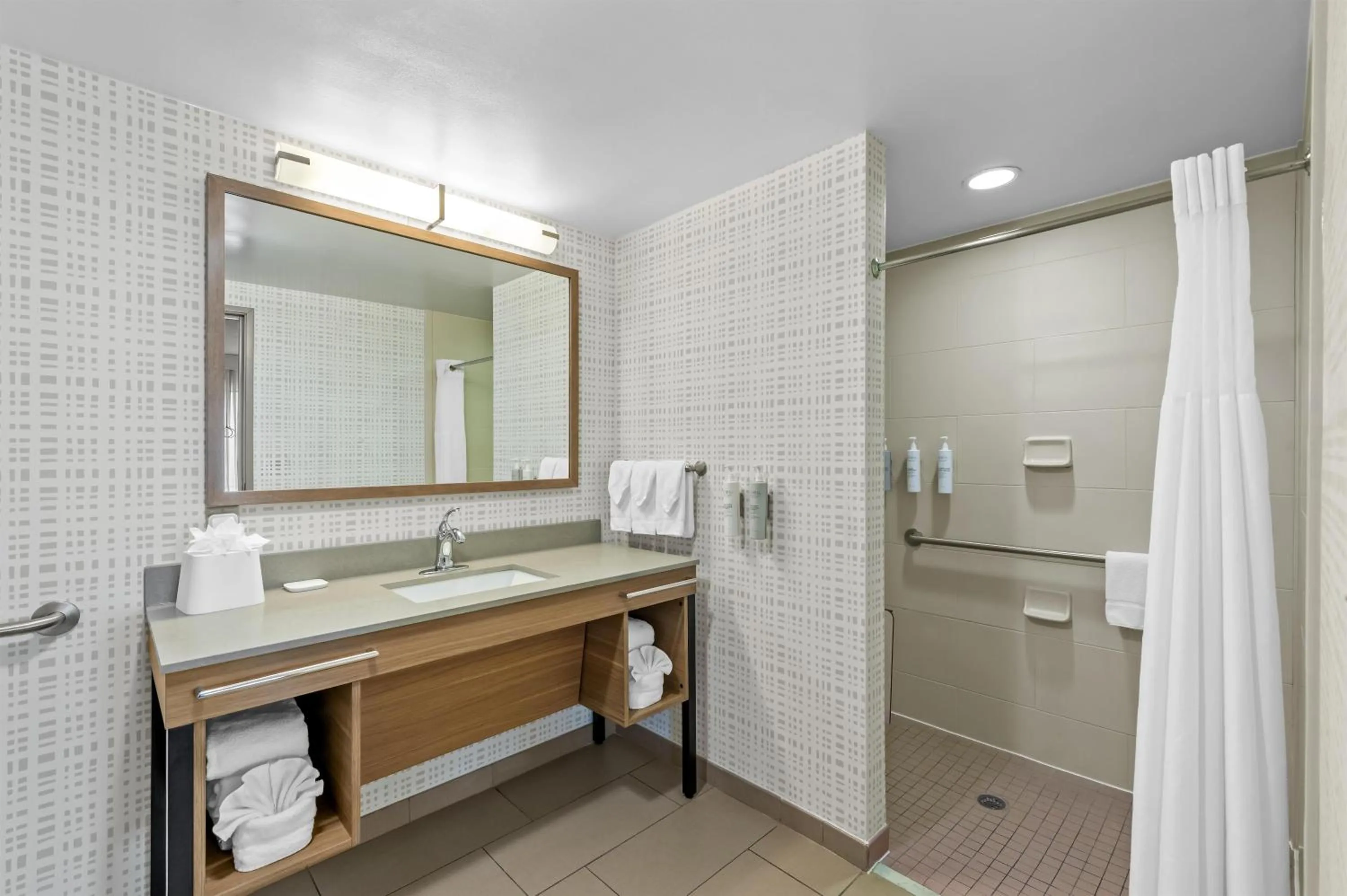 Bathroom in Hampton Inn Texarkana