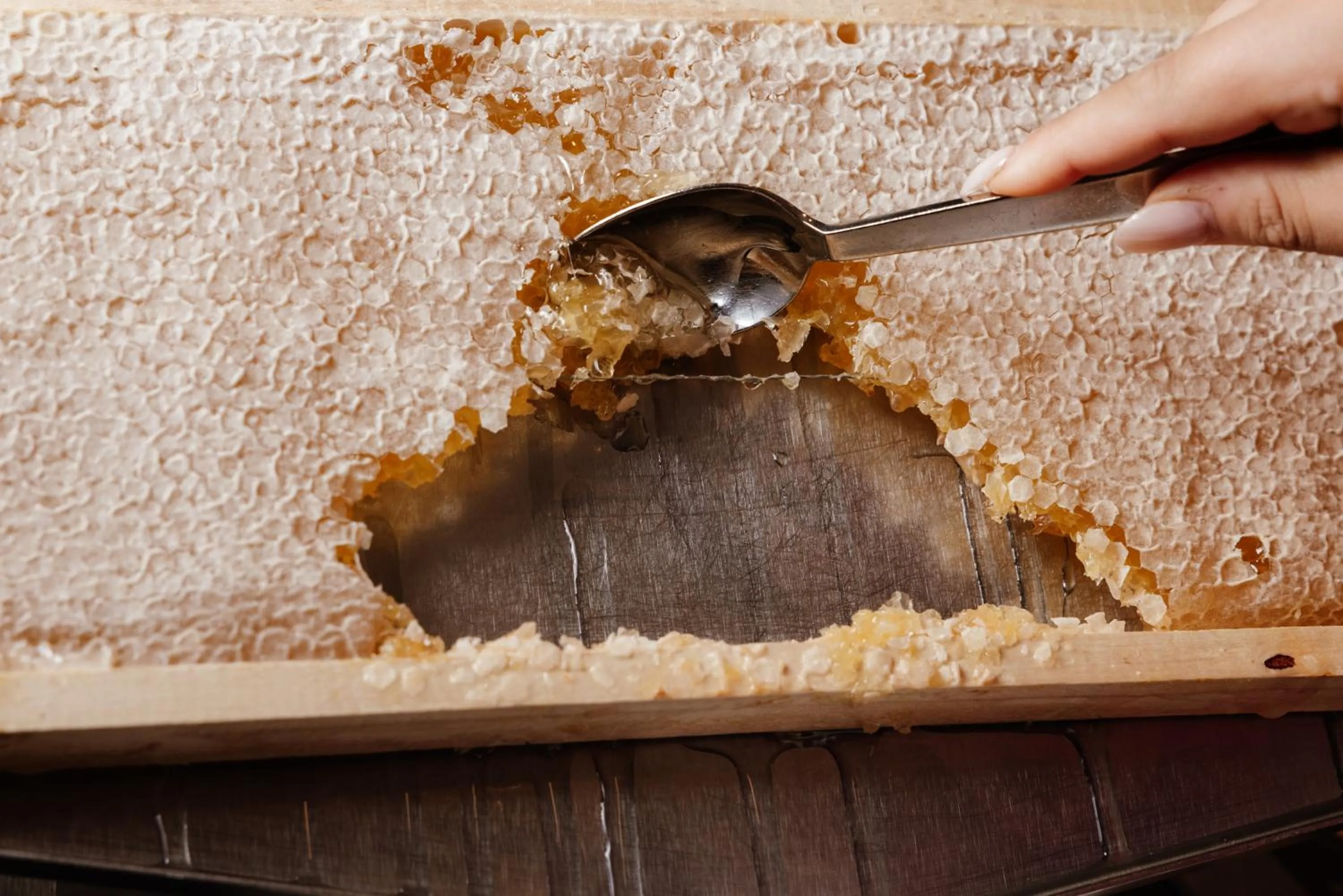 Food and drinks in Mövenpick Hotel Geneva