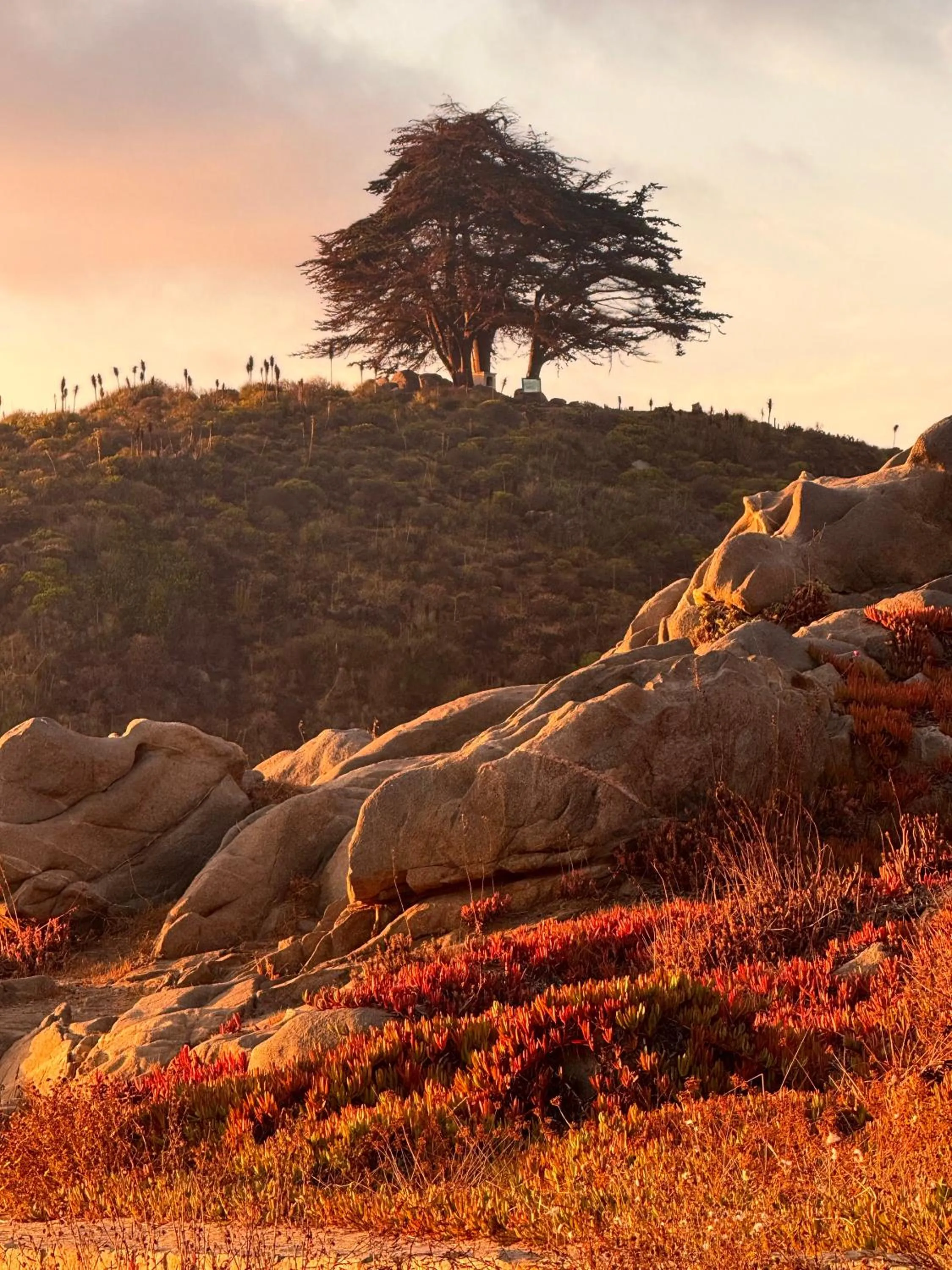 Lofts - Casa El Pangue, Zapallar