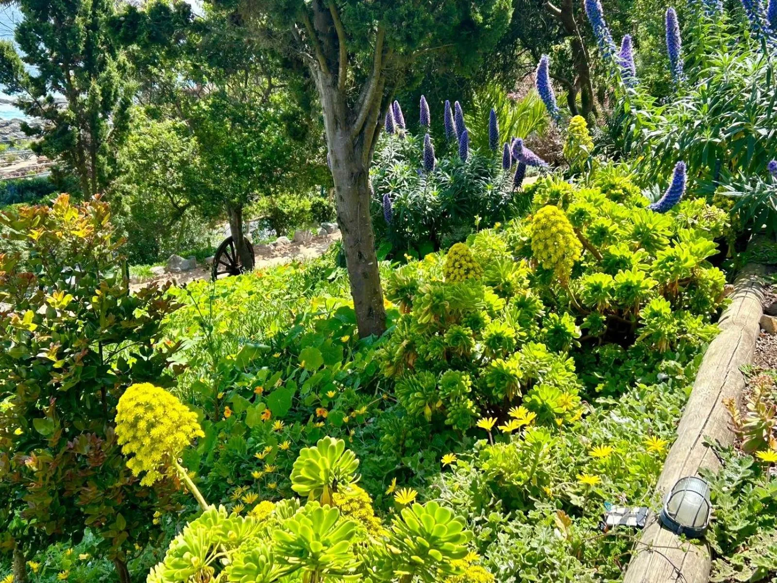 Lofts - Casa El Pangue, Zapallar