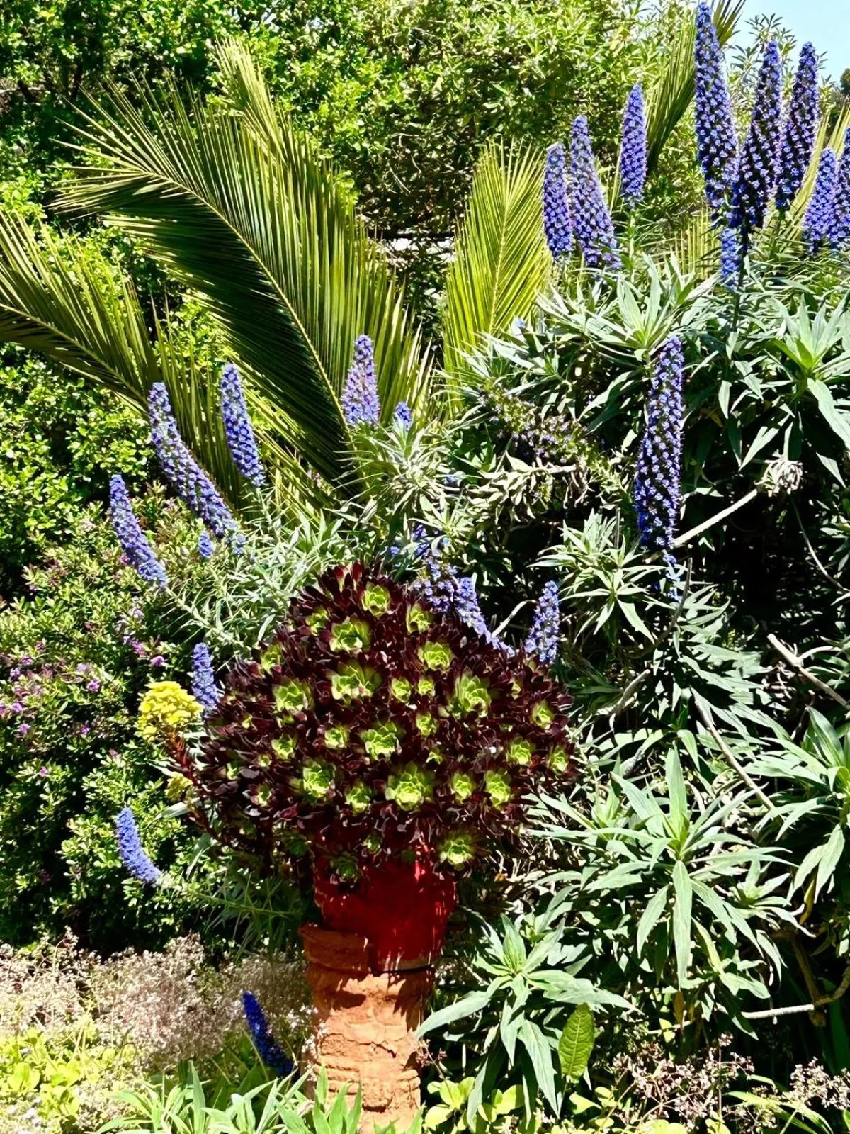 Lofts - Casa El Pangue, Zapallar