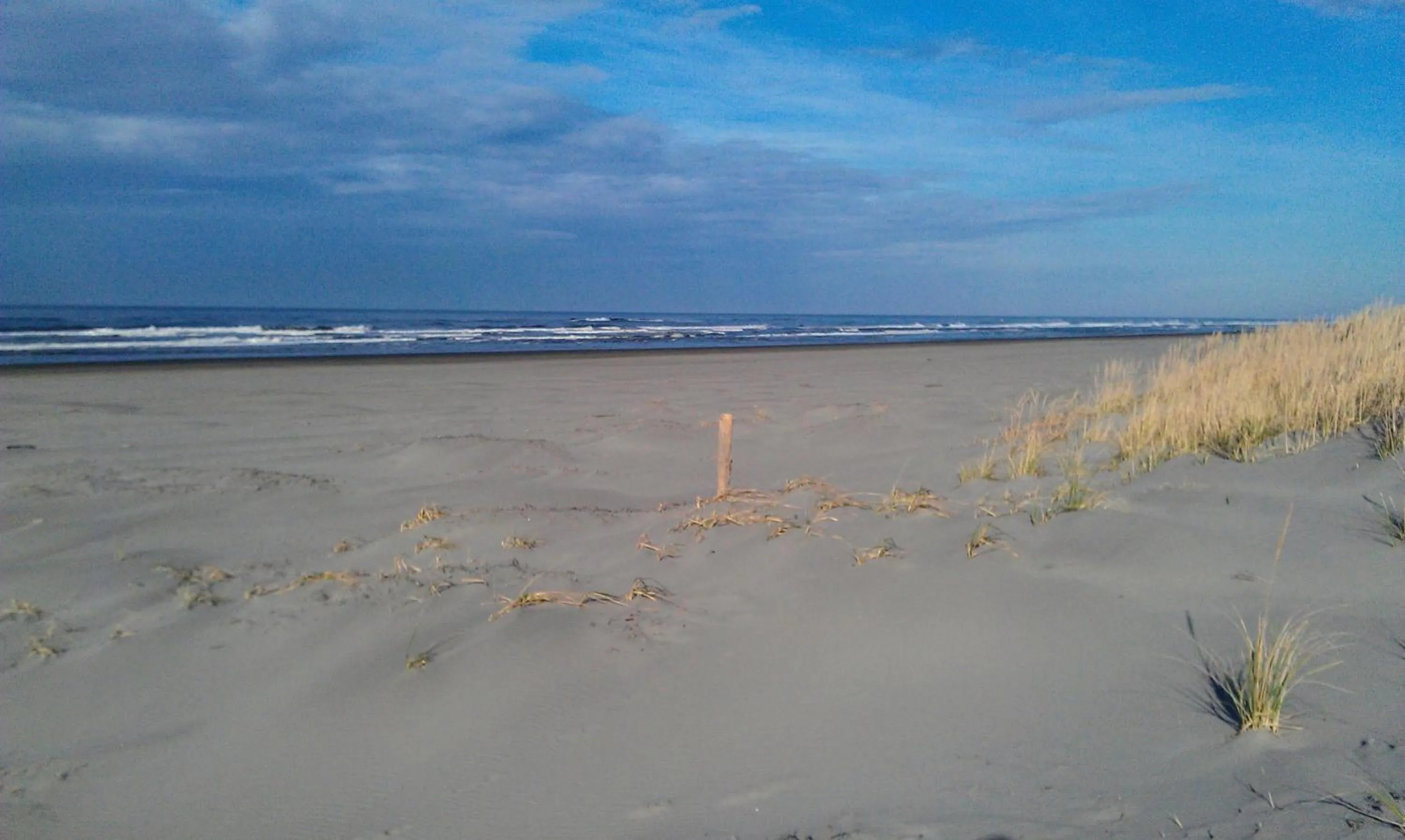 Historic 1920s Cabin