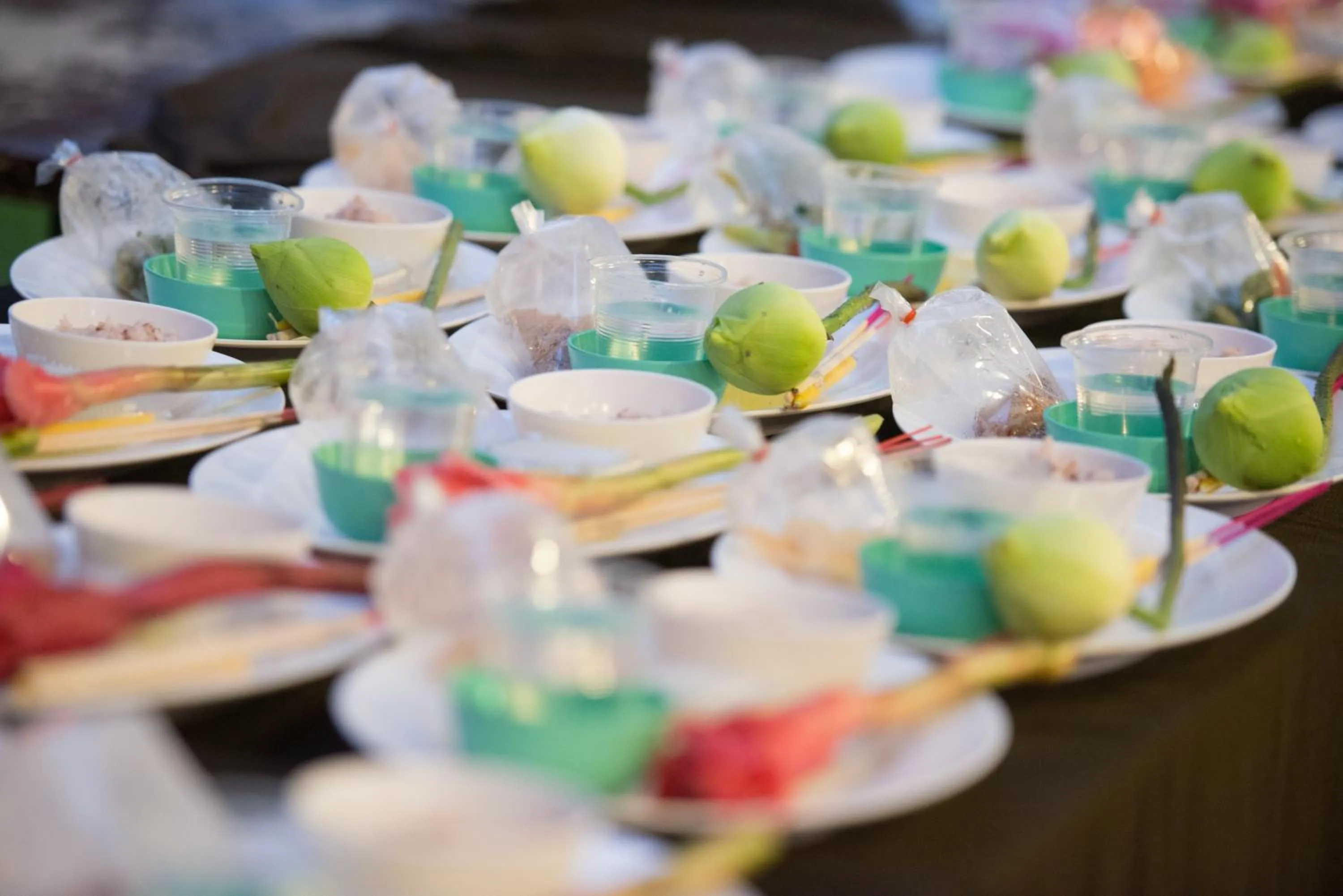 Activities in Baantip Suantong