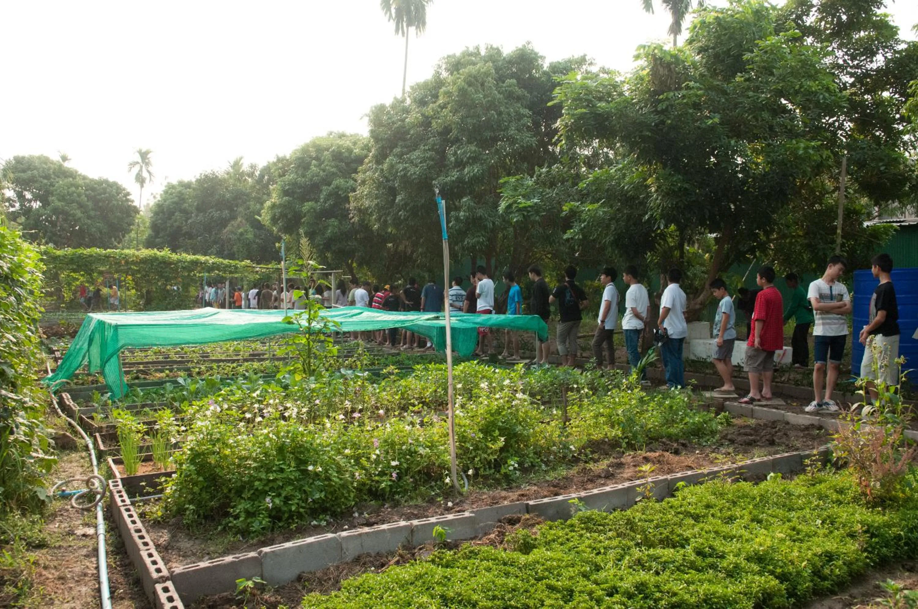 Activities in Baantip Suantong