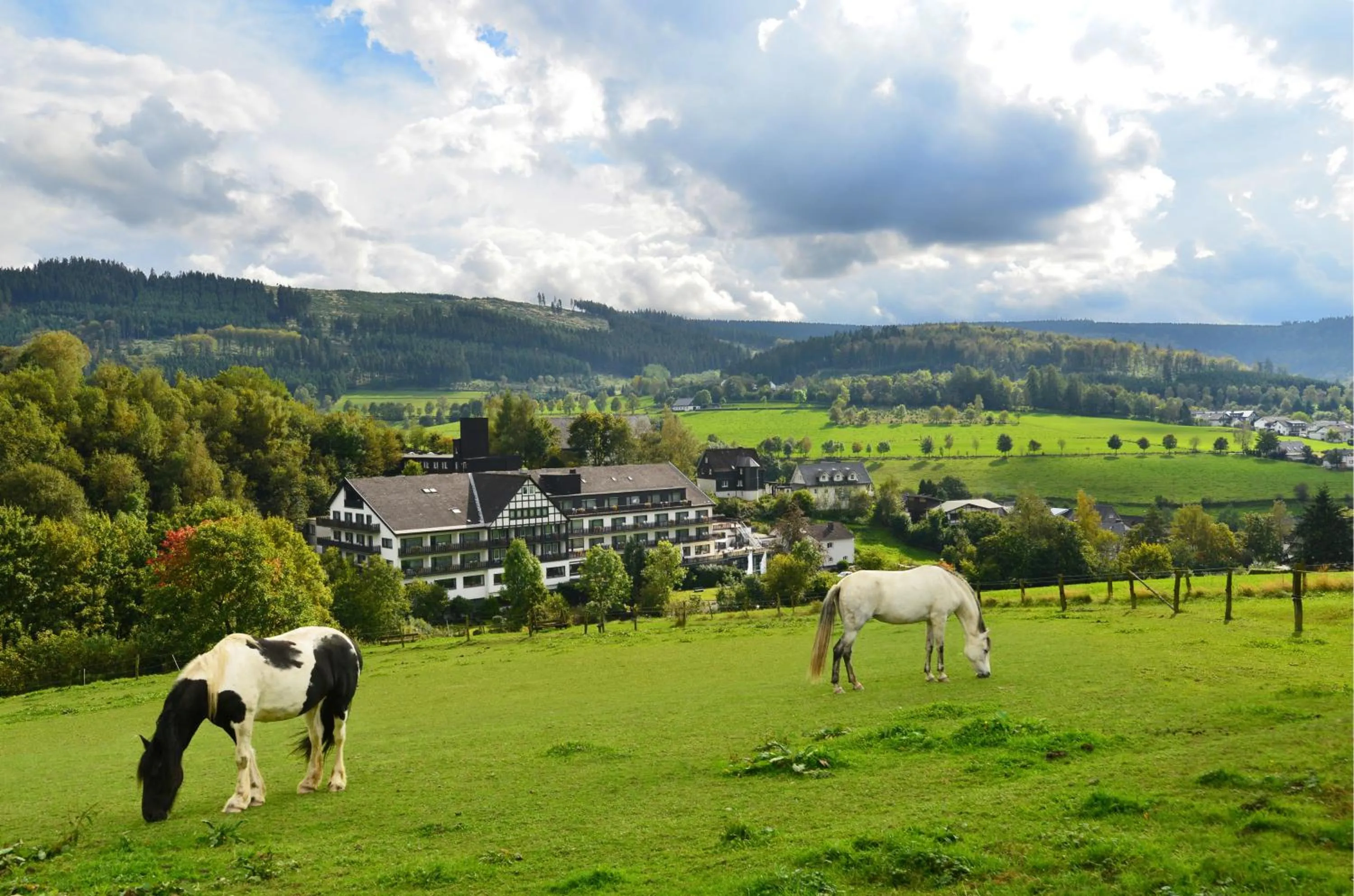 Area and facilities in Sauerland Alpin Hotel