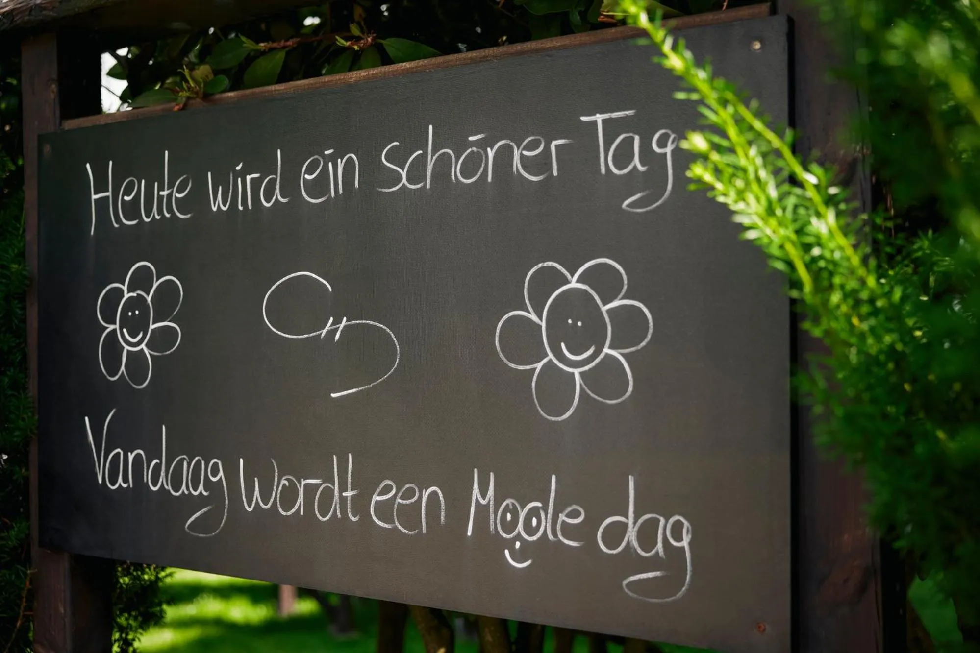 Off site in Sauerland Alpin Hotel