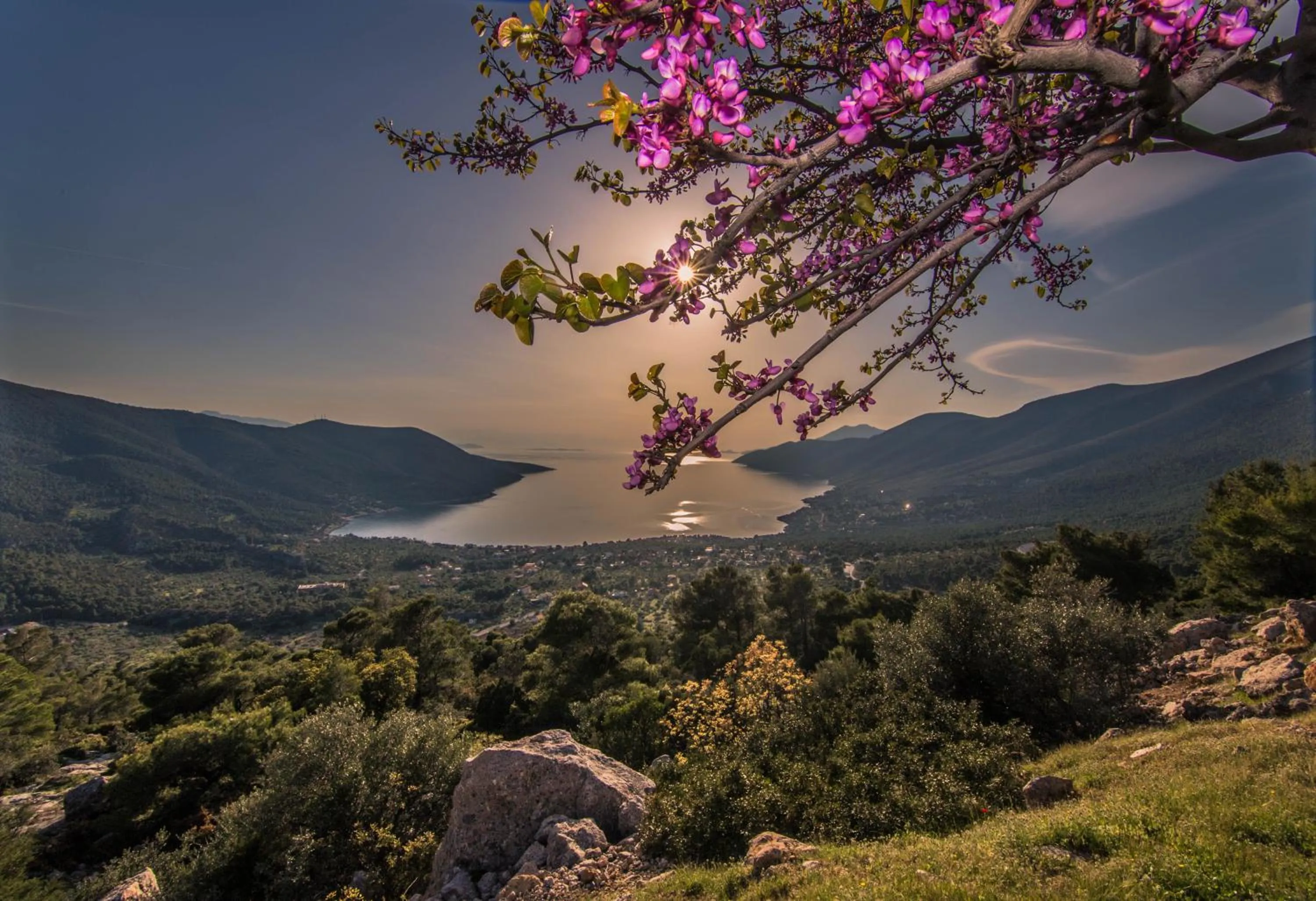 Natural landscape in Idillion