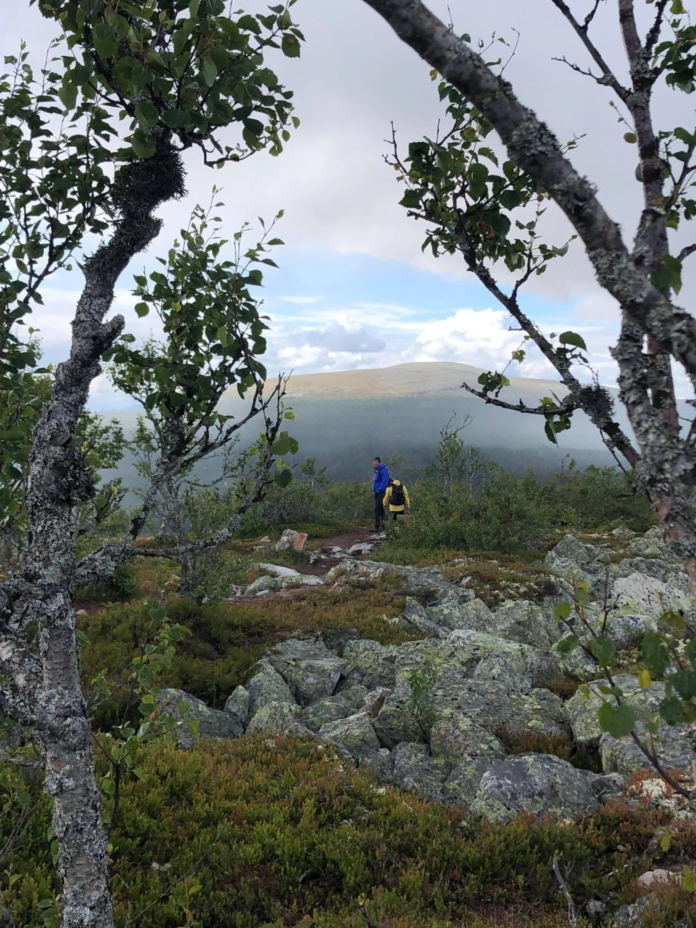 Natural landscape in Villa Sole, Trysil