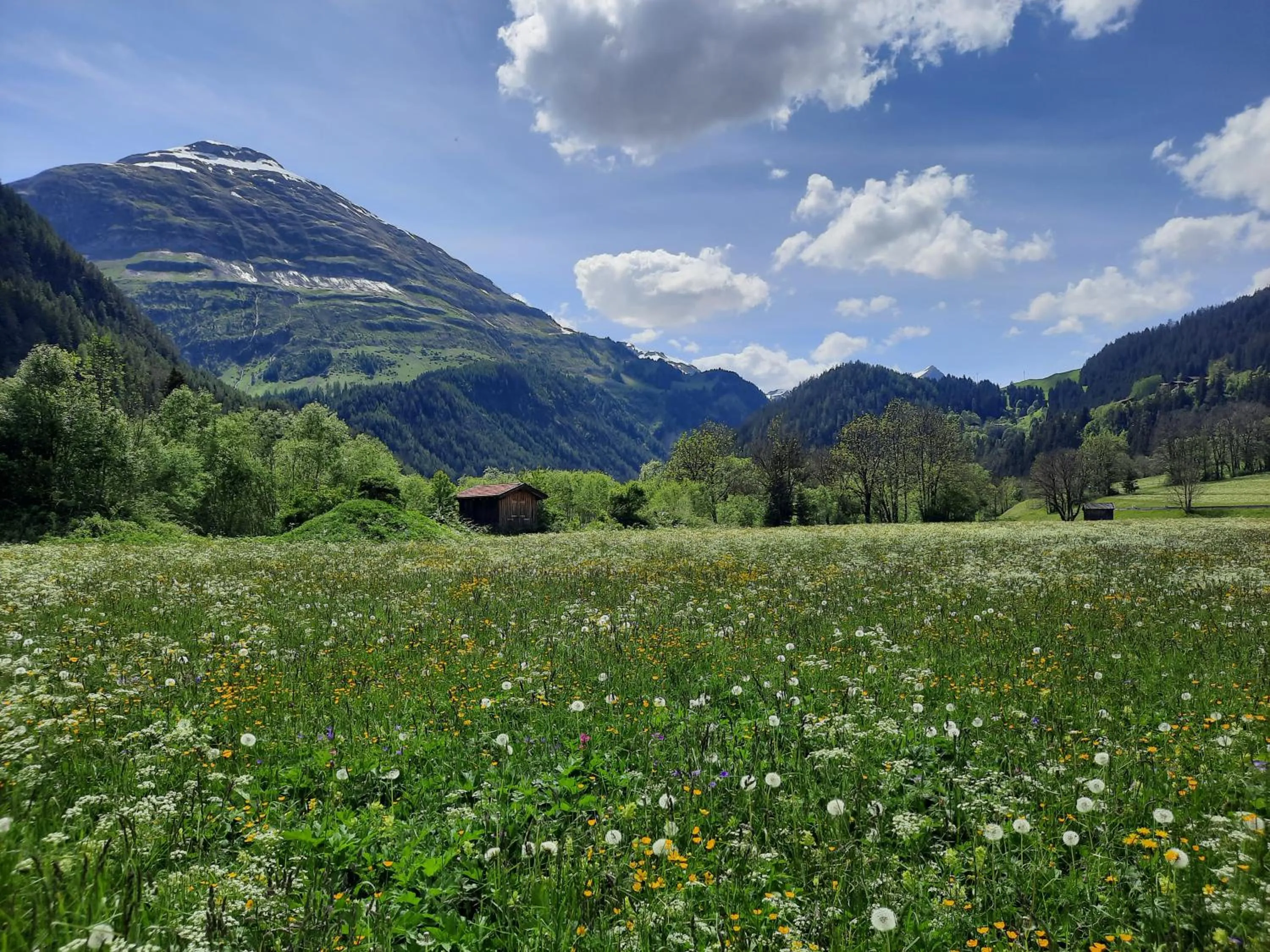 Spring in Hotel Bergmahd