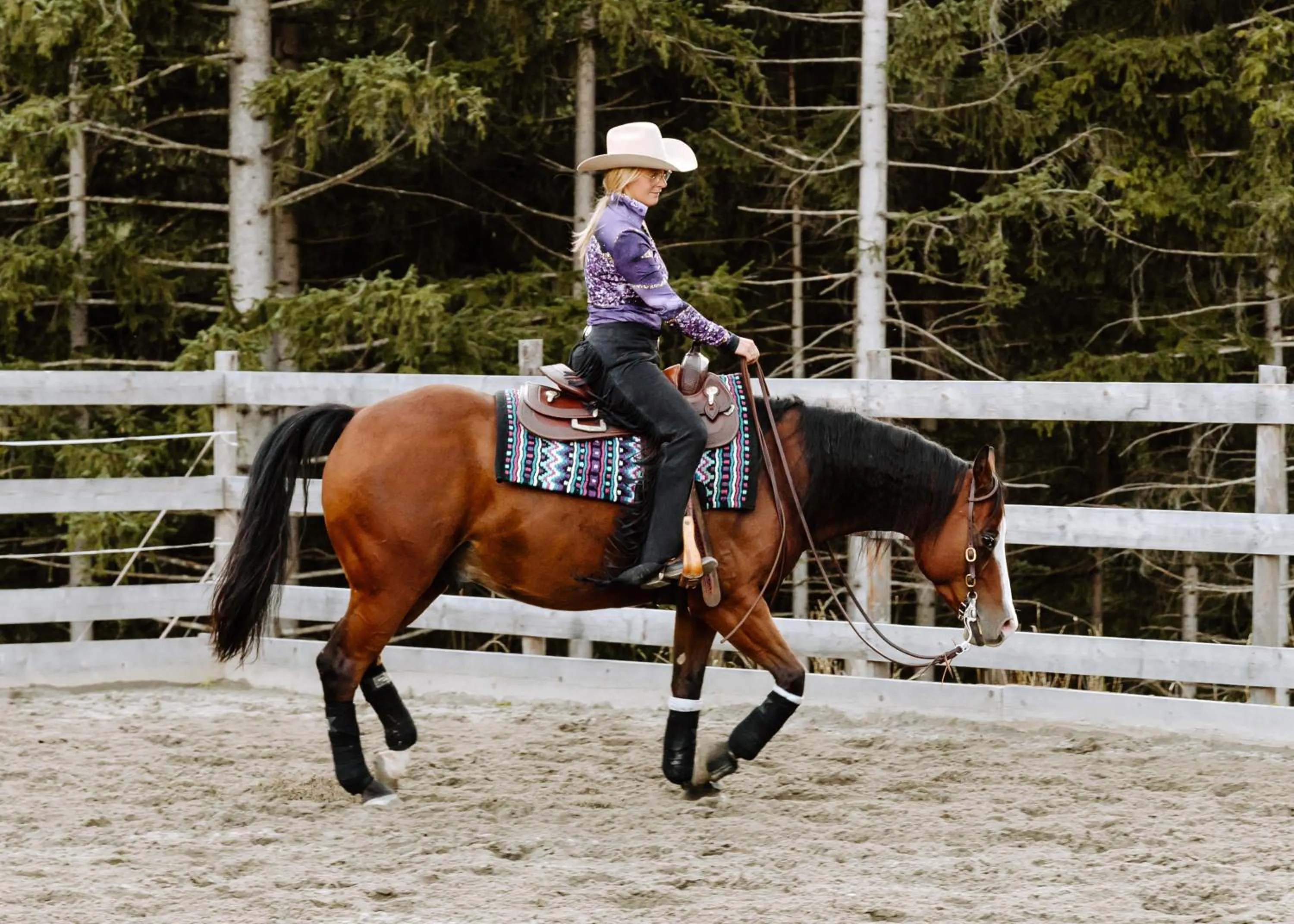 Horse-riding in Hotel Bergmahd