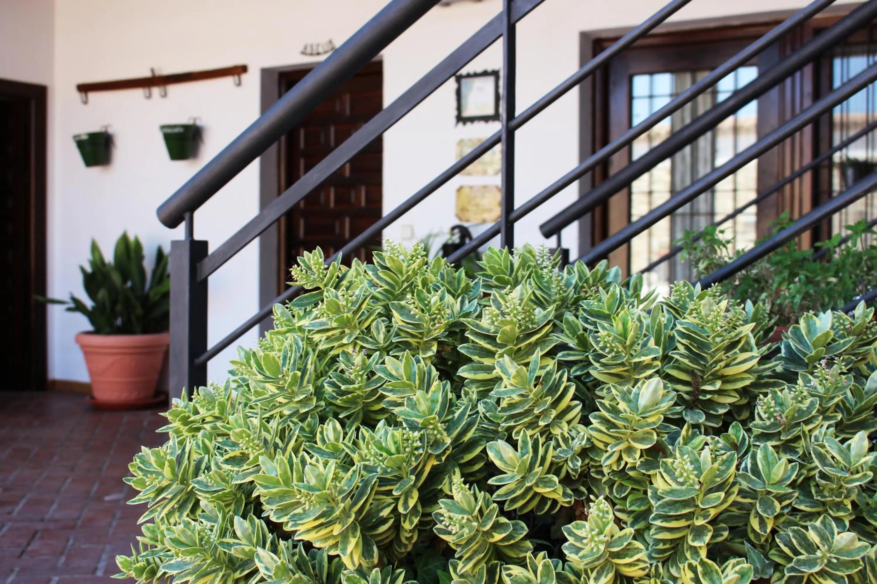 Property building in Hotel Rural Molino del Albaicín
