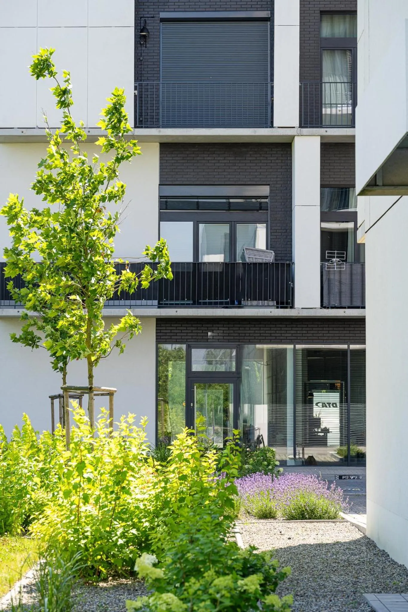 Property building in RentPlanet - Apartamenty Zarembowicza