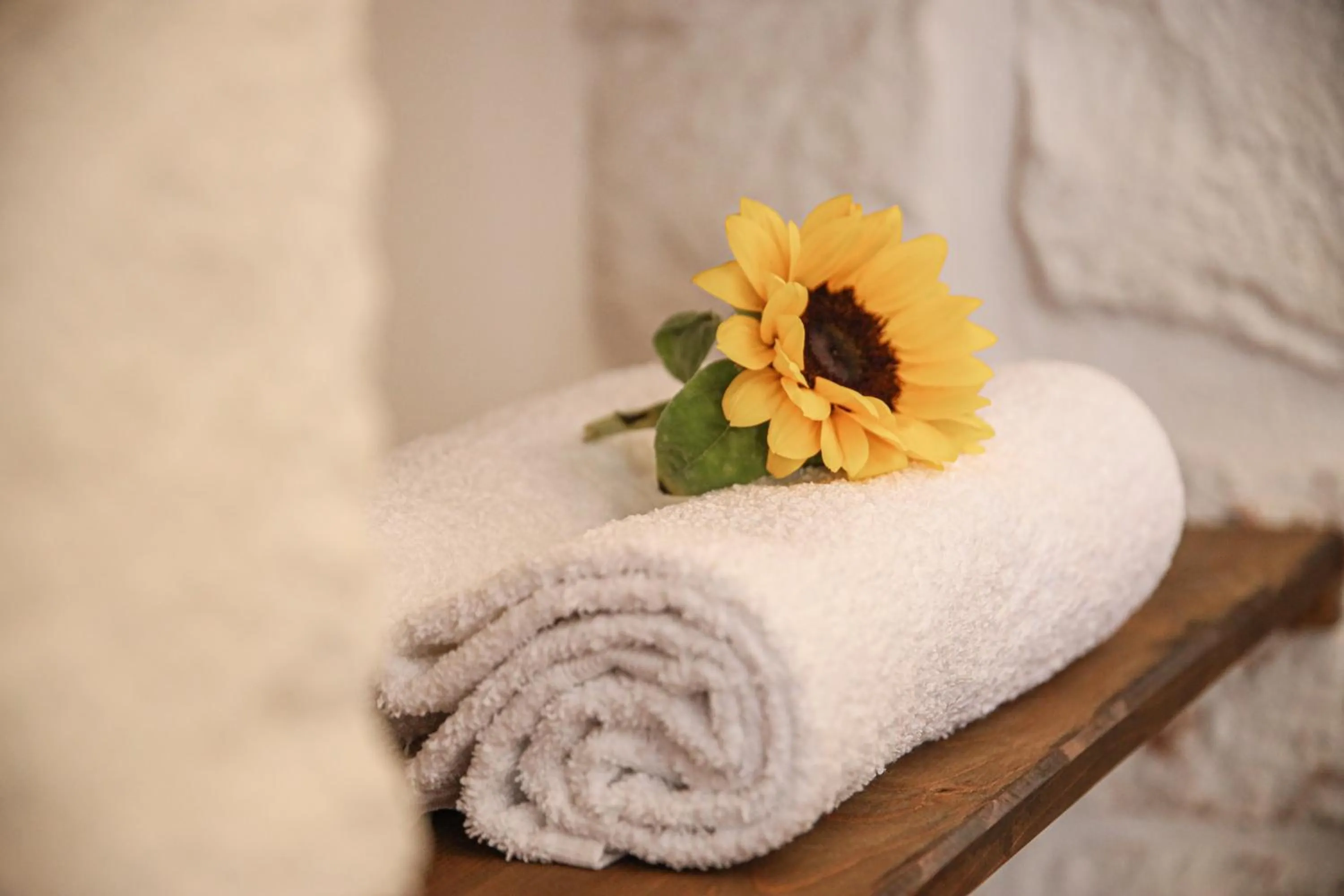 towels in Domus Petra 104