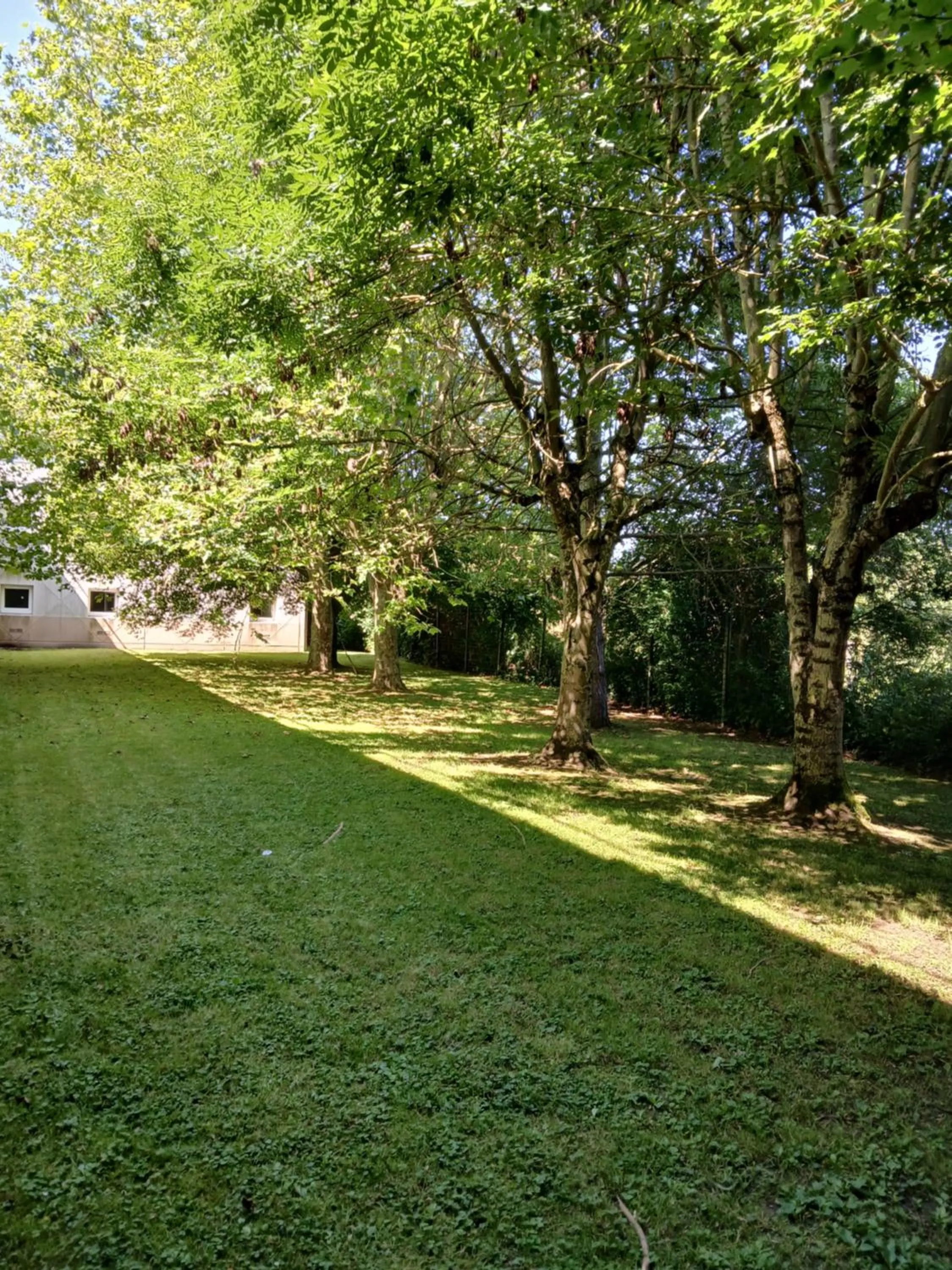 Patio in Unisotel Valenciennes EX-hôtel F1