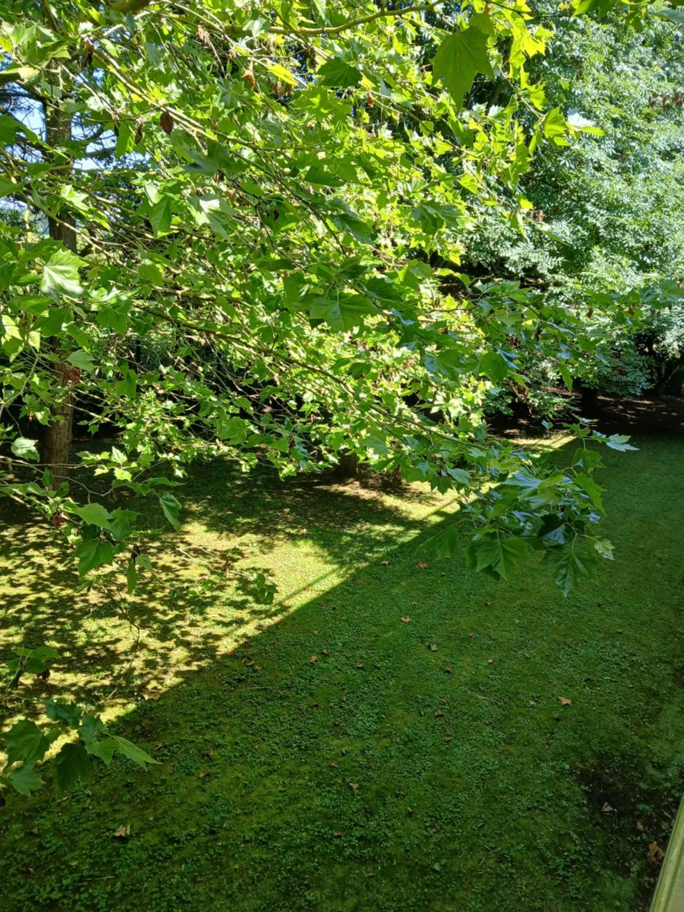 Patio in Unisotel Valenciennes EX-hôtel F1