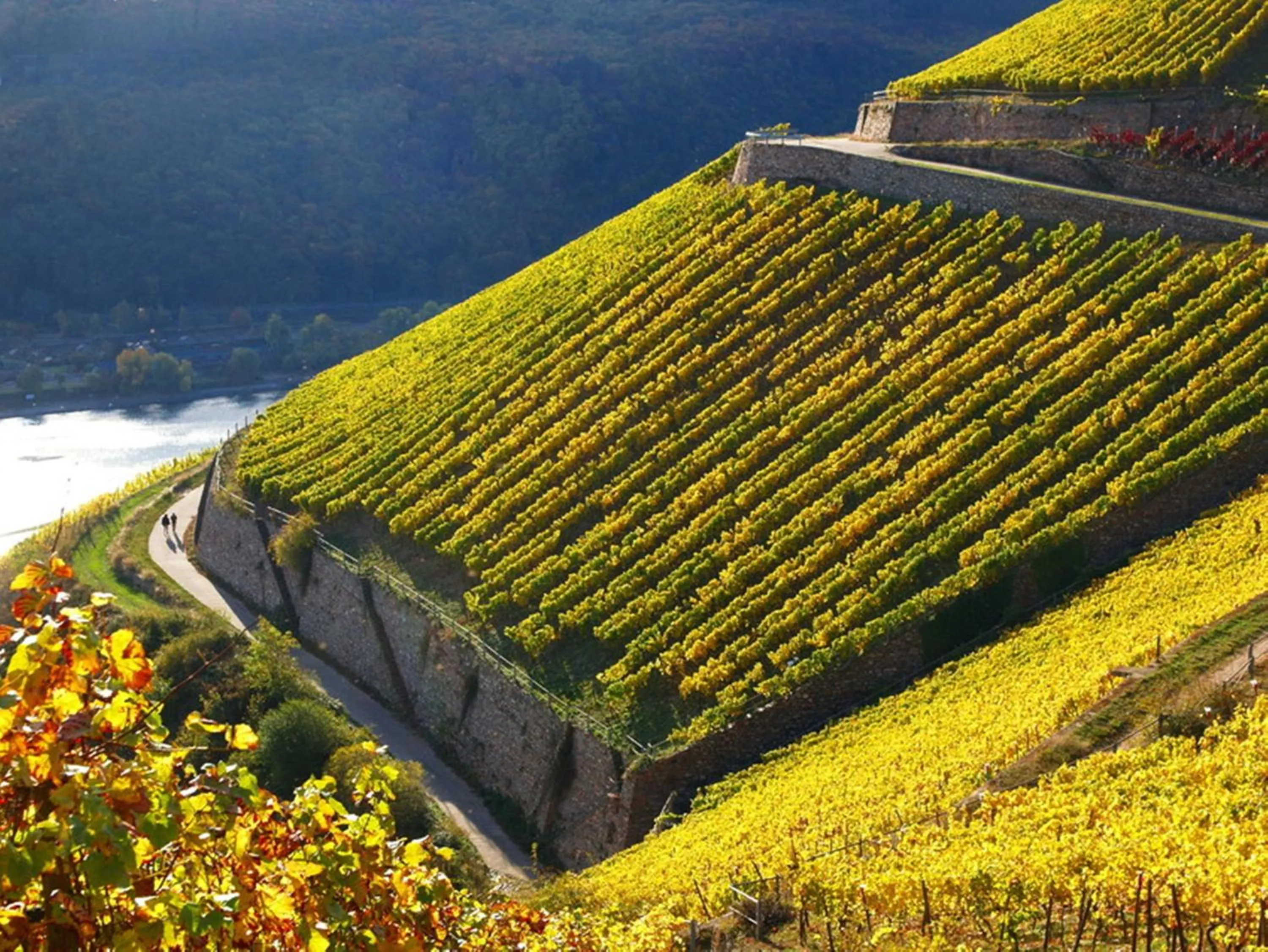 Natural landscape in Hotel Trapp