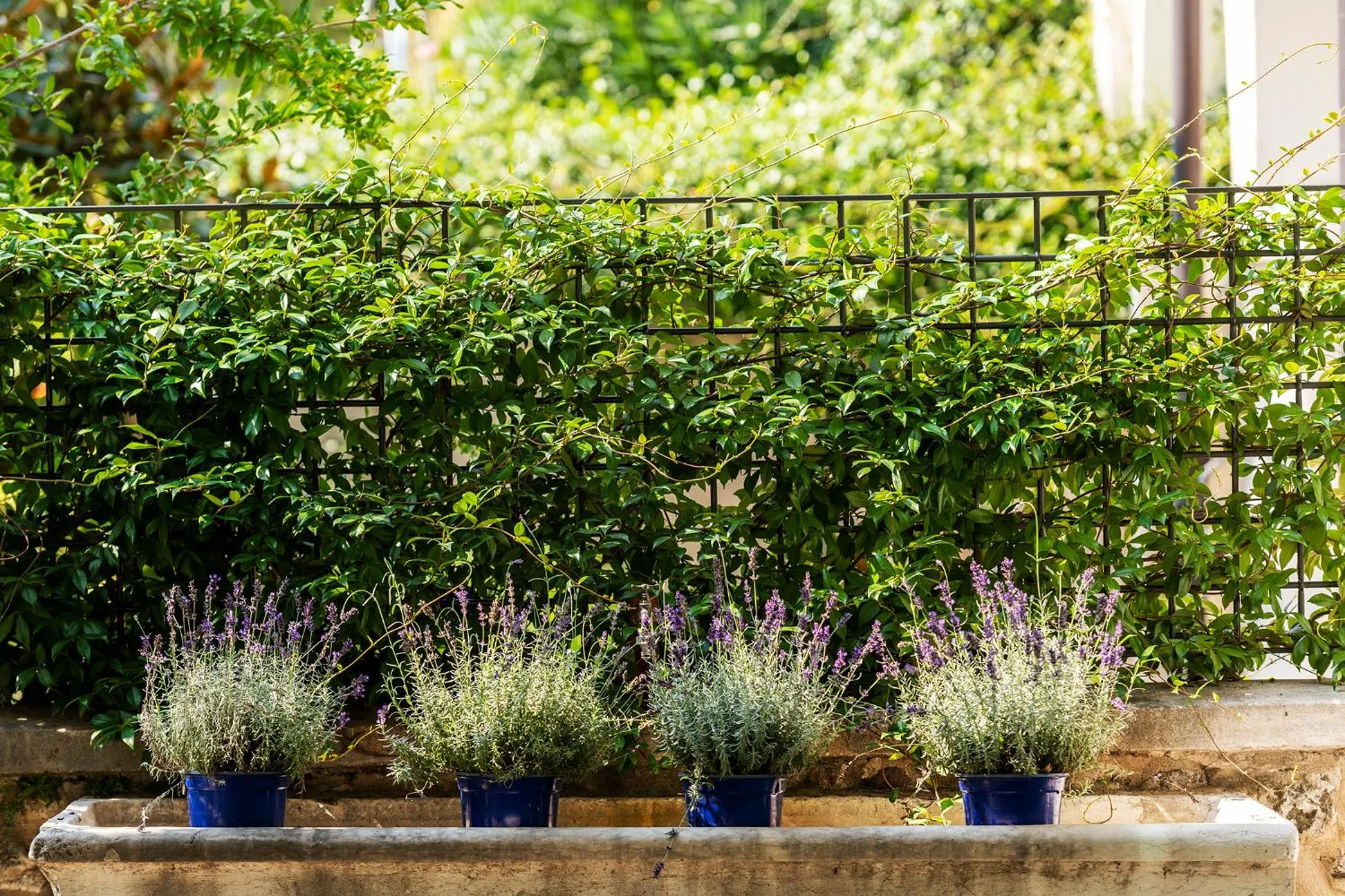 Day in Hotel Villa I Pini