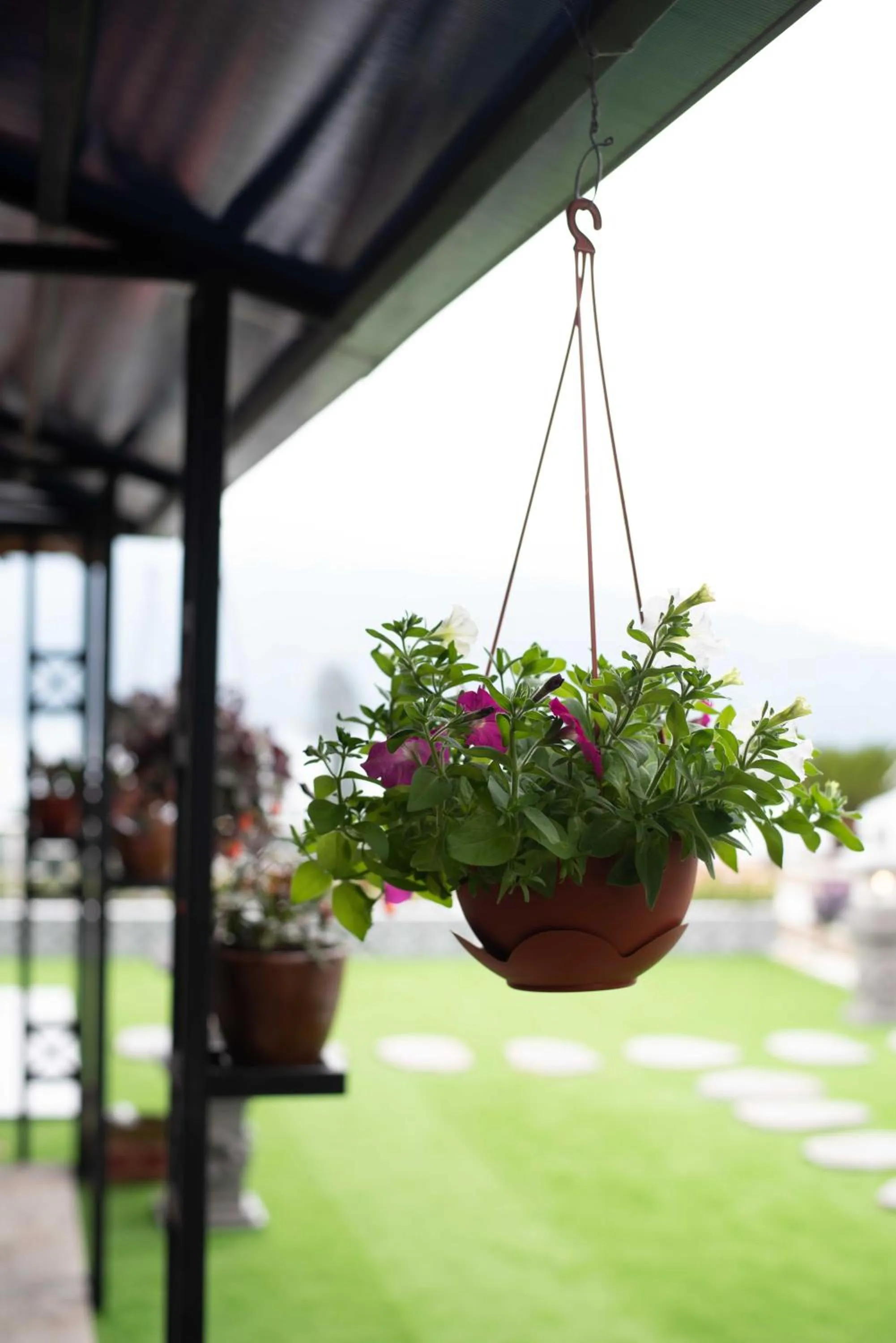 Garden in Dedanau Hotel