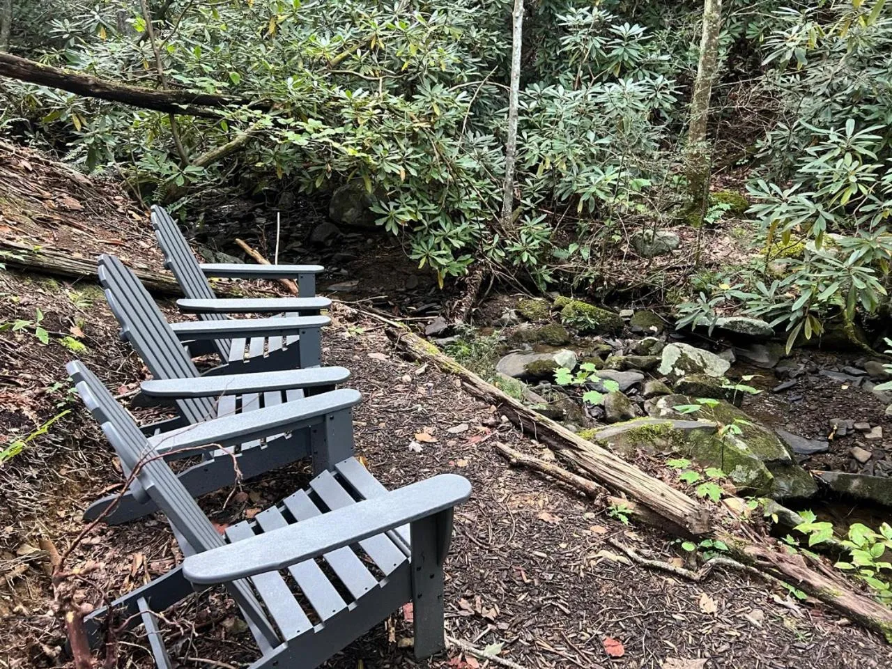 Hiking in Big Bear Ridge Lodge - Breathtaking mountain views and private forest scenes in amazing large log cabin