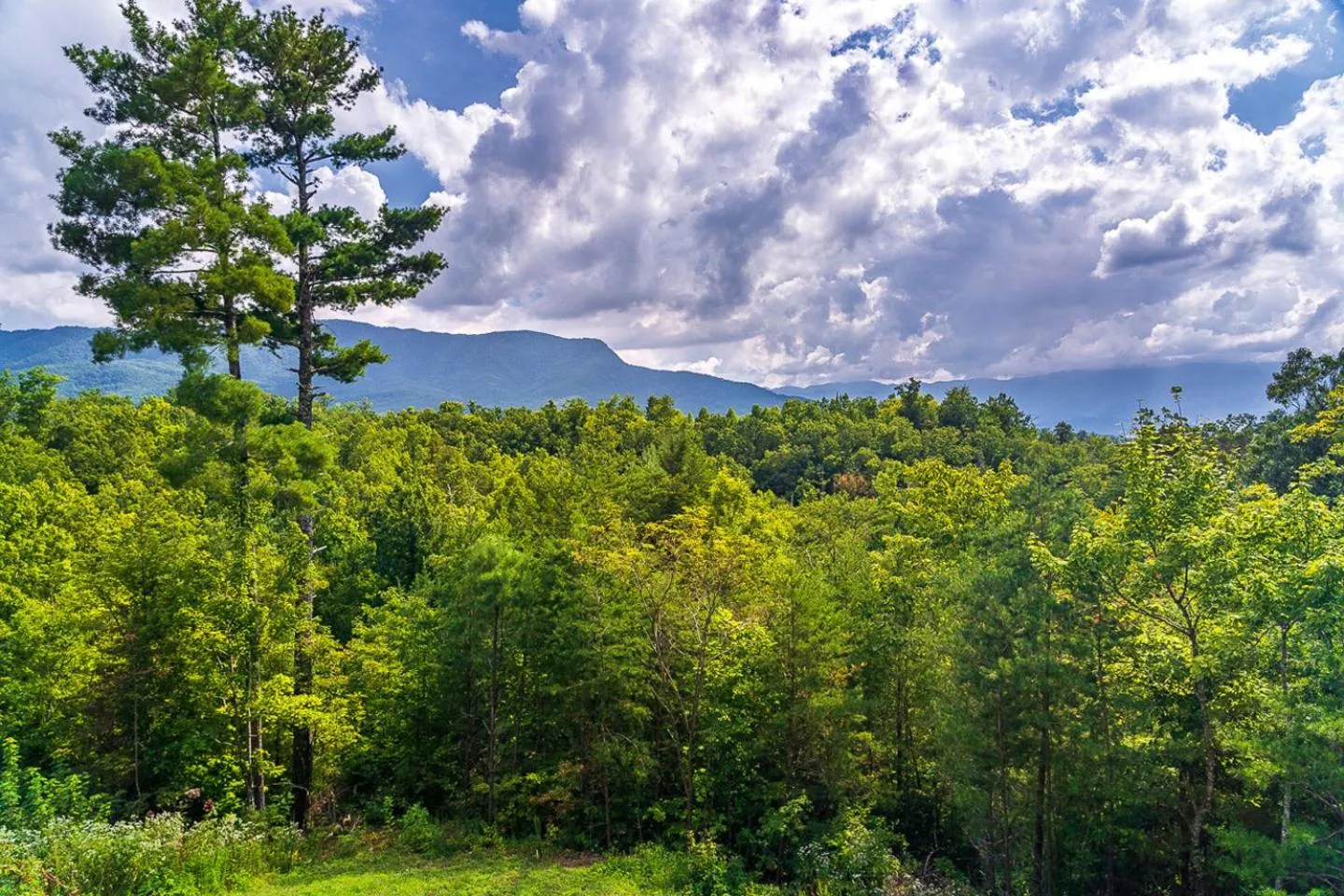 Mountain view in Big Bear Ridge Lodge - Breathtaking mountain views and private forest scenes in amazing large log cabin