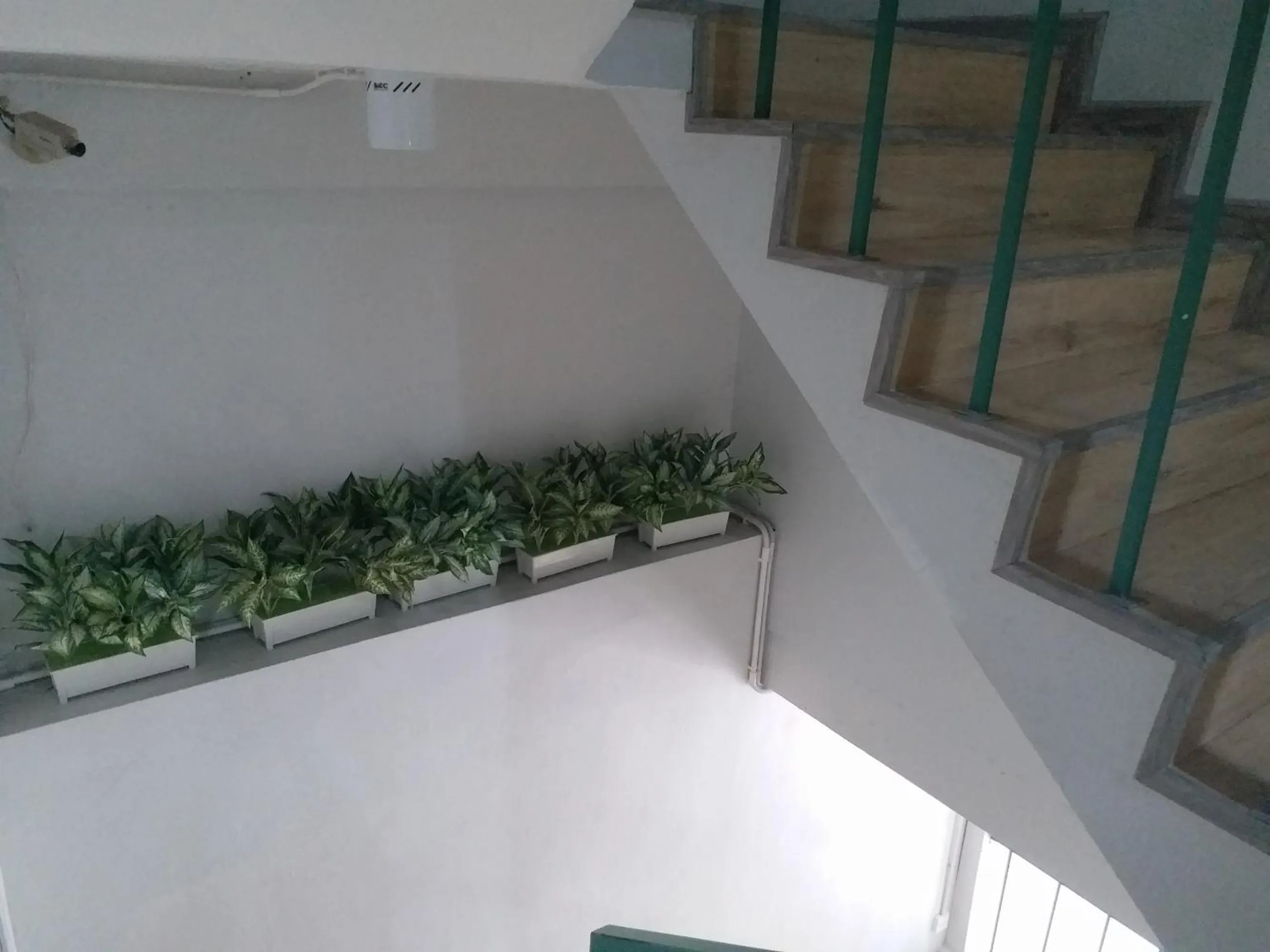 Other in DD Garden Apartment 2