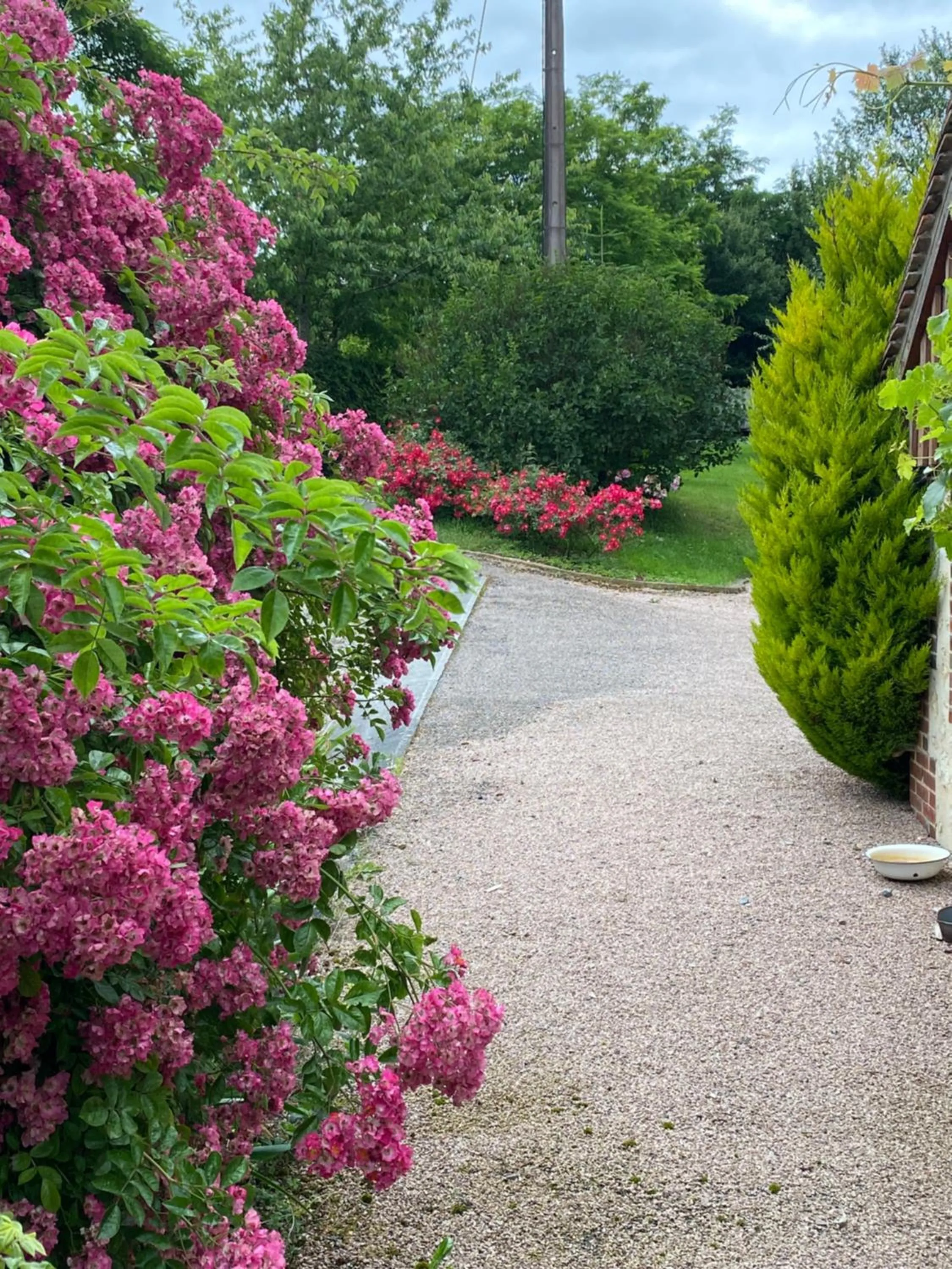 Garden in Chambre d'Hôtes du Domaine de la Haute Poignandiere