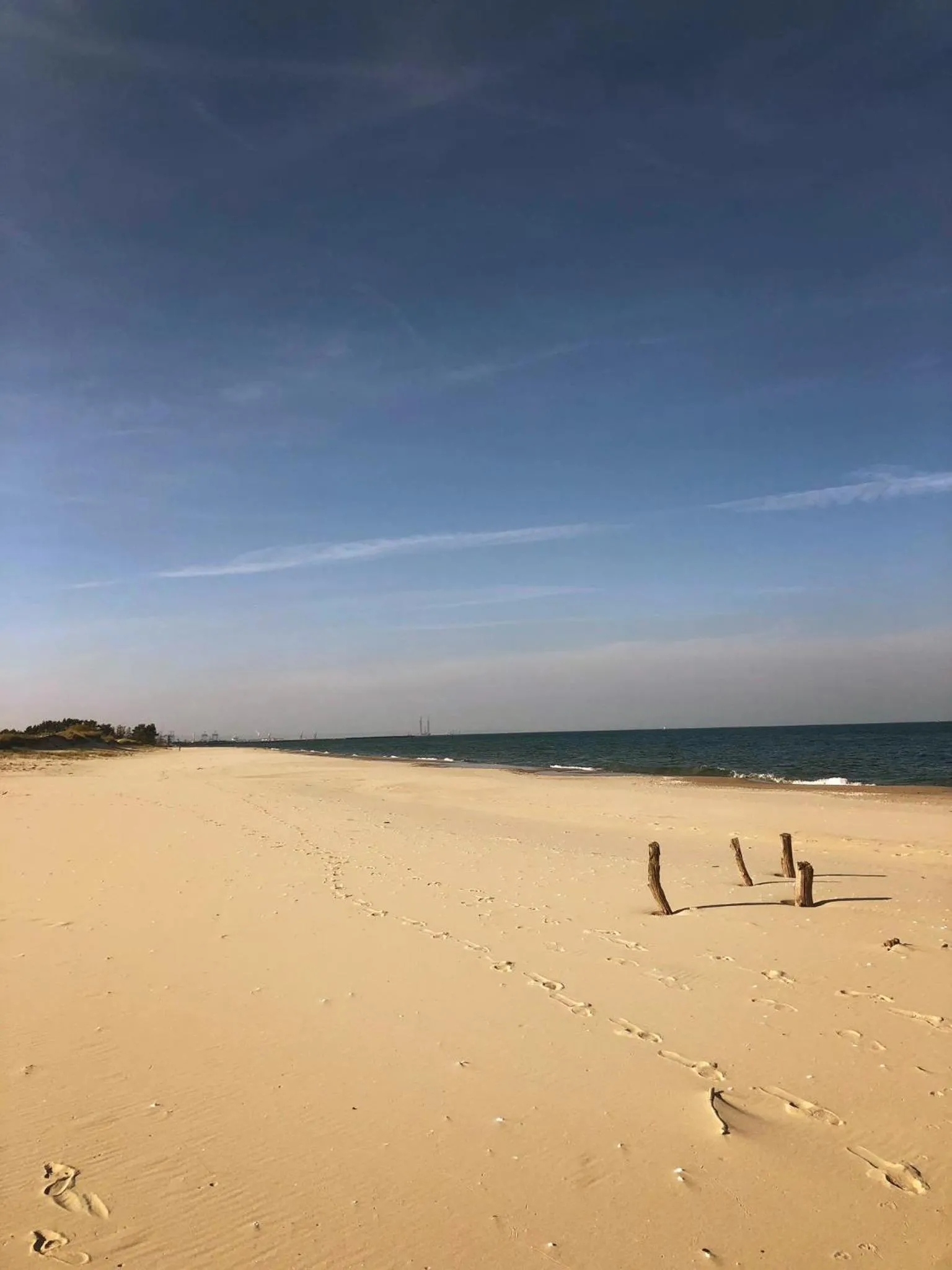 Beach in Olivia Baltic