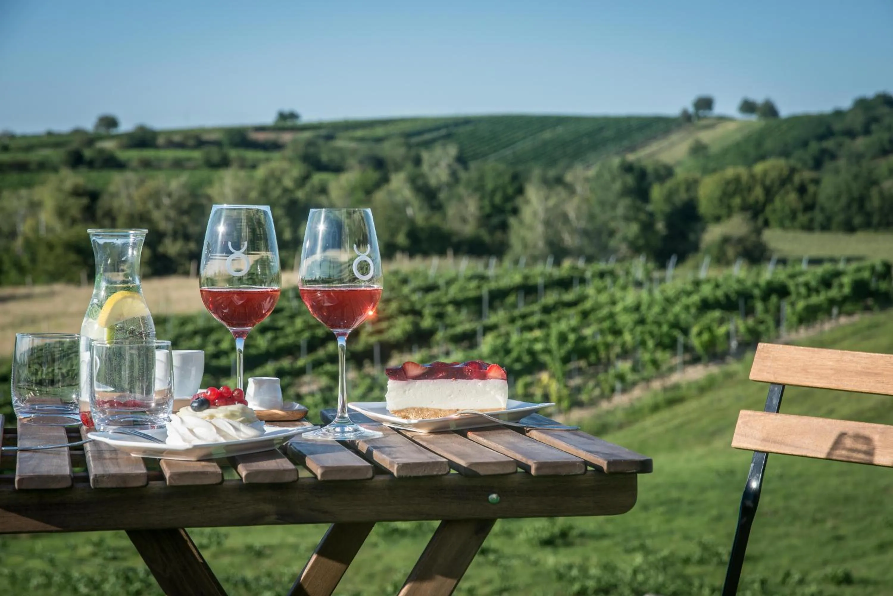 Boutique Hotel Vinařství Škrobák