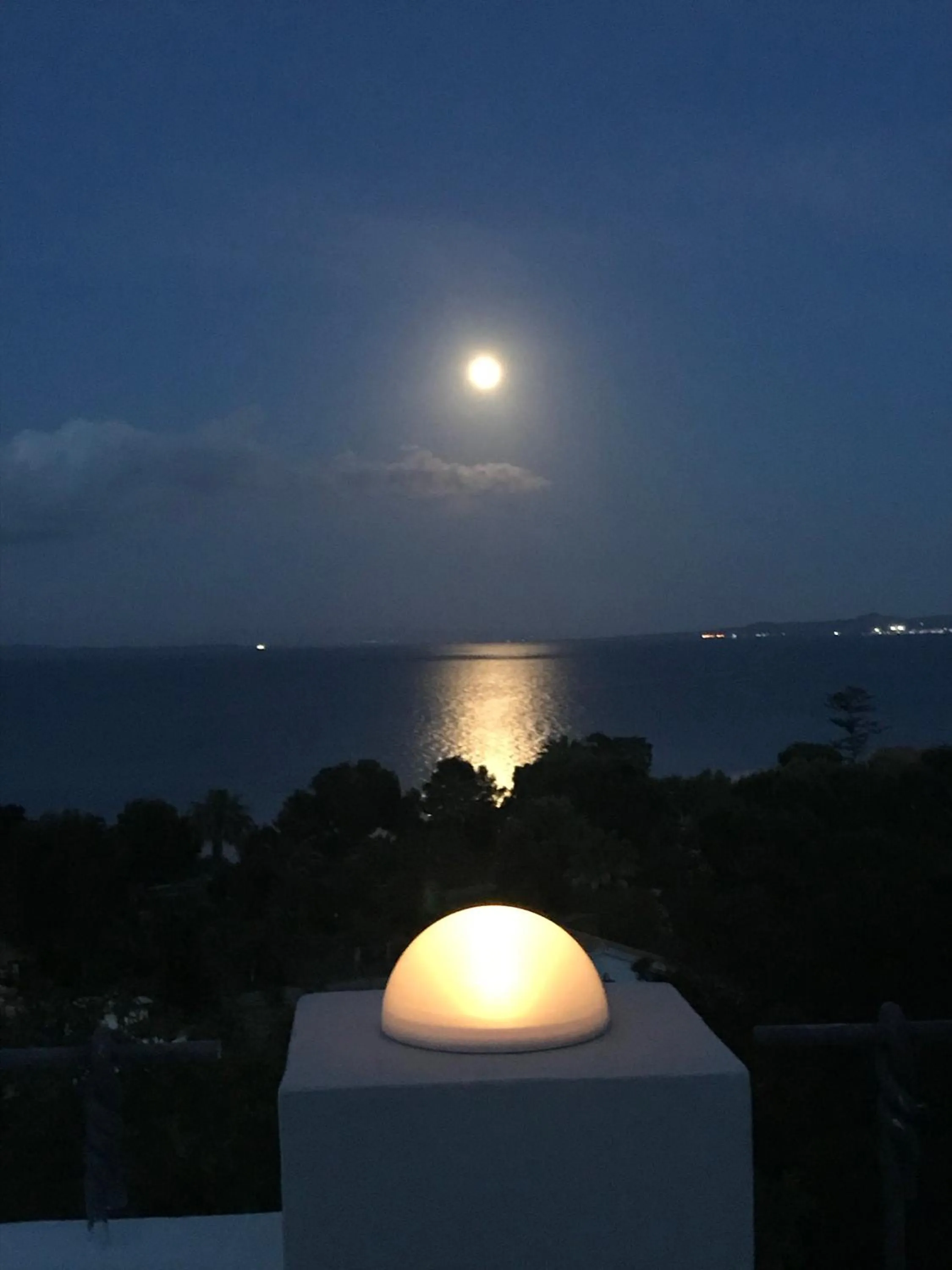 View (from property/room) in Carloforte Bellavista