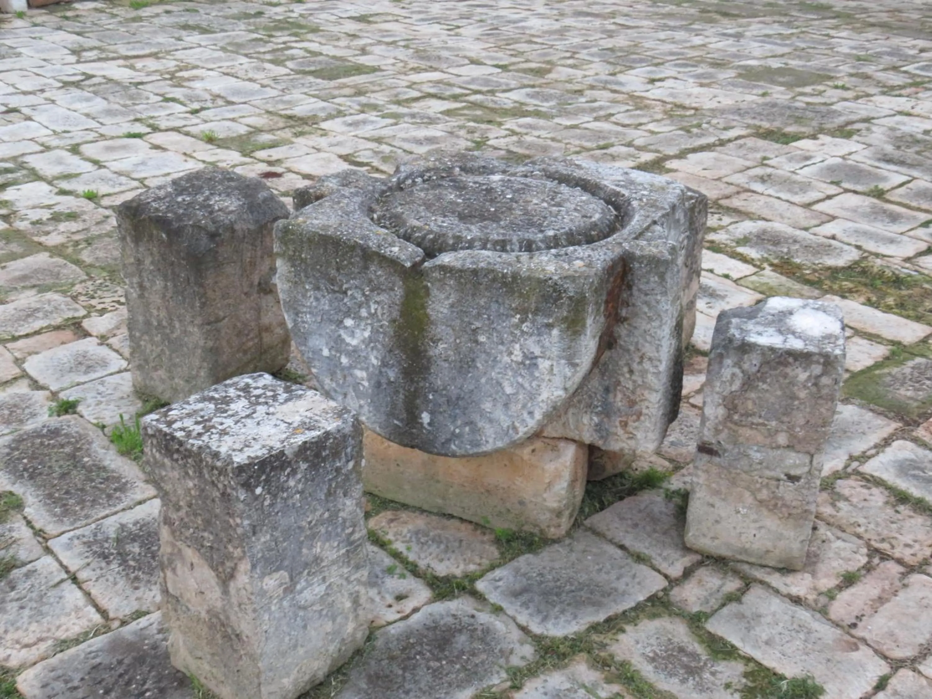 Garden in Masseria Borgo Santuri