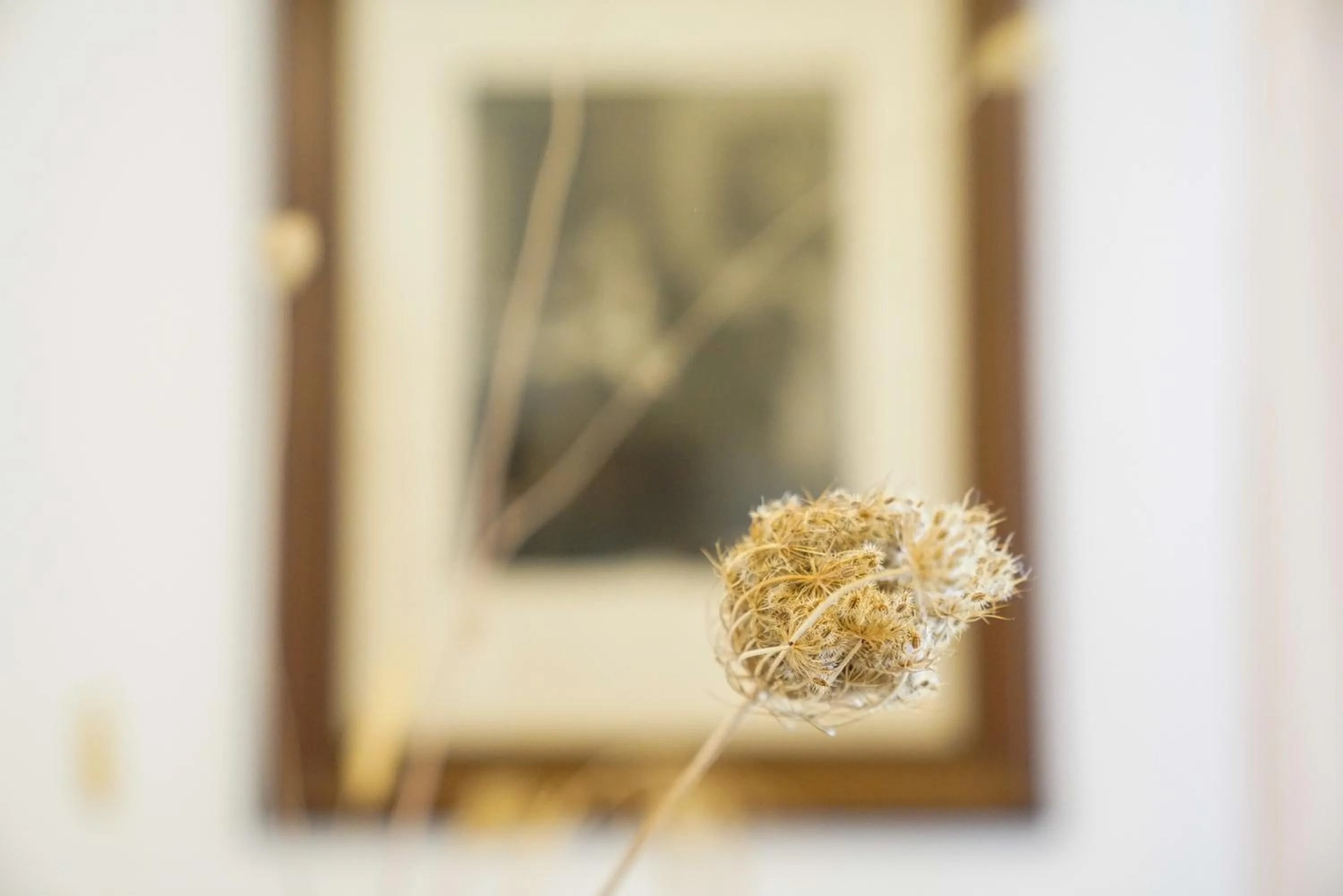 Decorative detail in Masseria Borgo Santuri