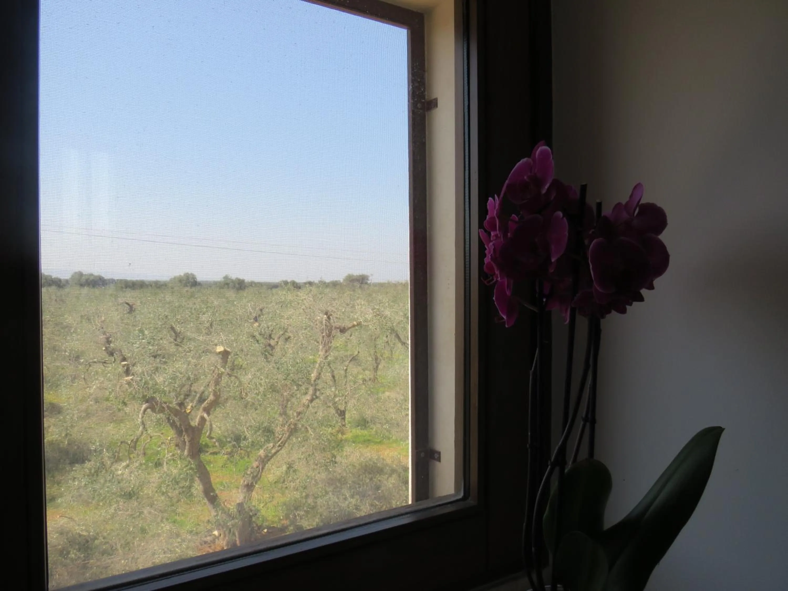 Decorative detail in Masseria Borgo Santuri