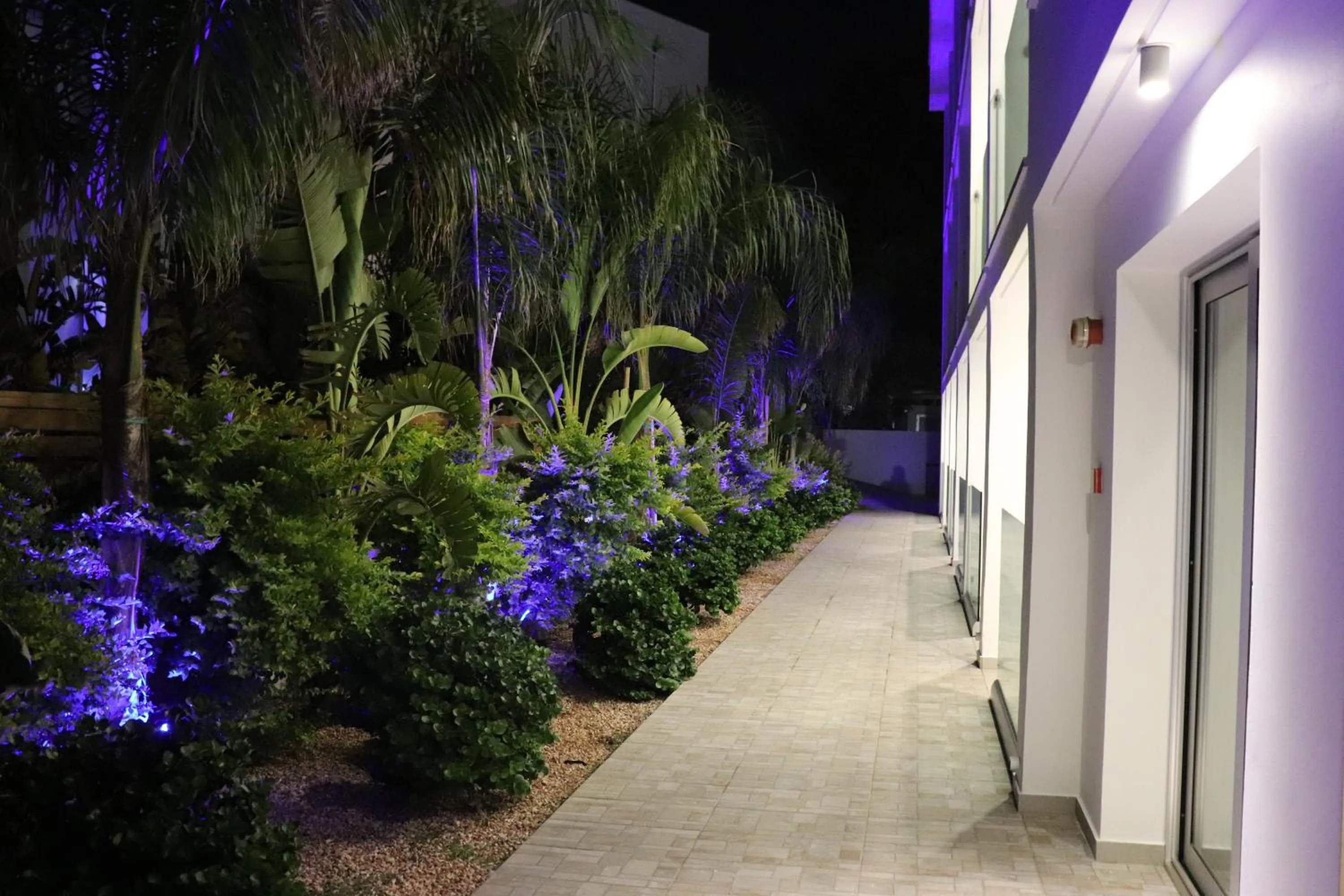 Garden in JOY Hotel Apts