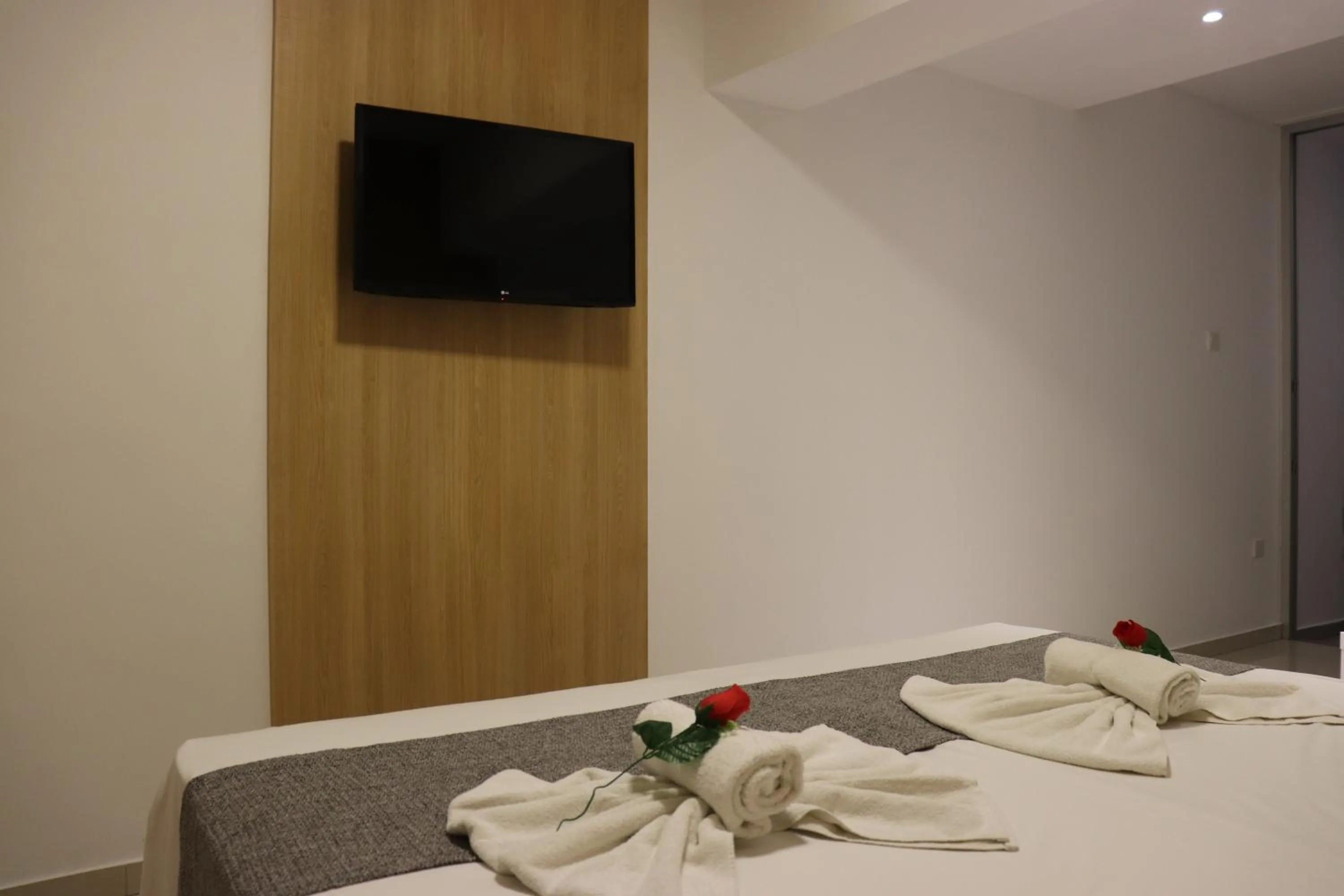 TV and multimedia in JOY Hotel Apts