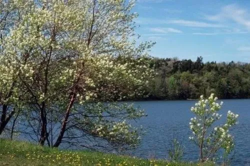Natural landscape in Landhotel Adler