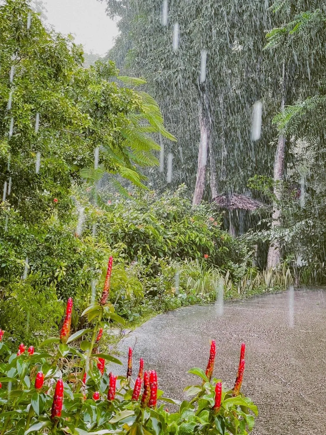 Day in Hillhouse - Koh Yao Noi