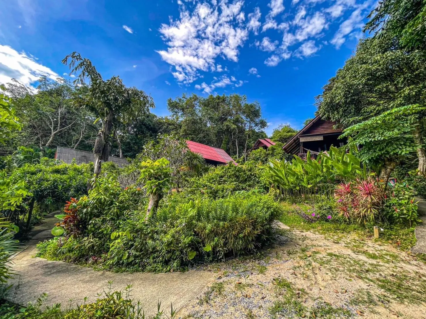 Day in Hillhouse - Koh Yao Noi