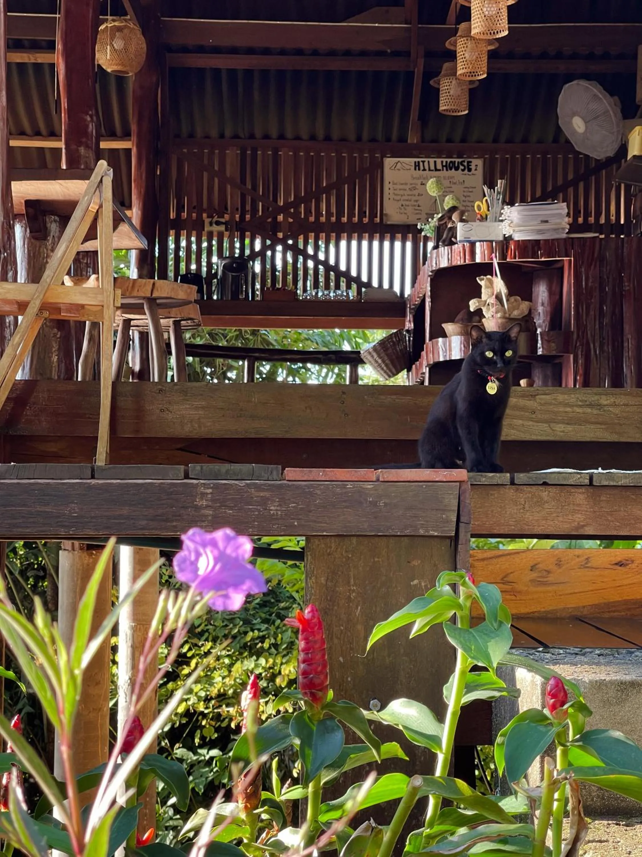 Day in Hillhouse - Koh Yao Noi