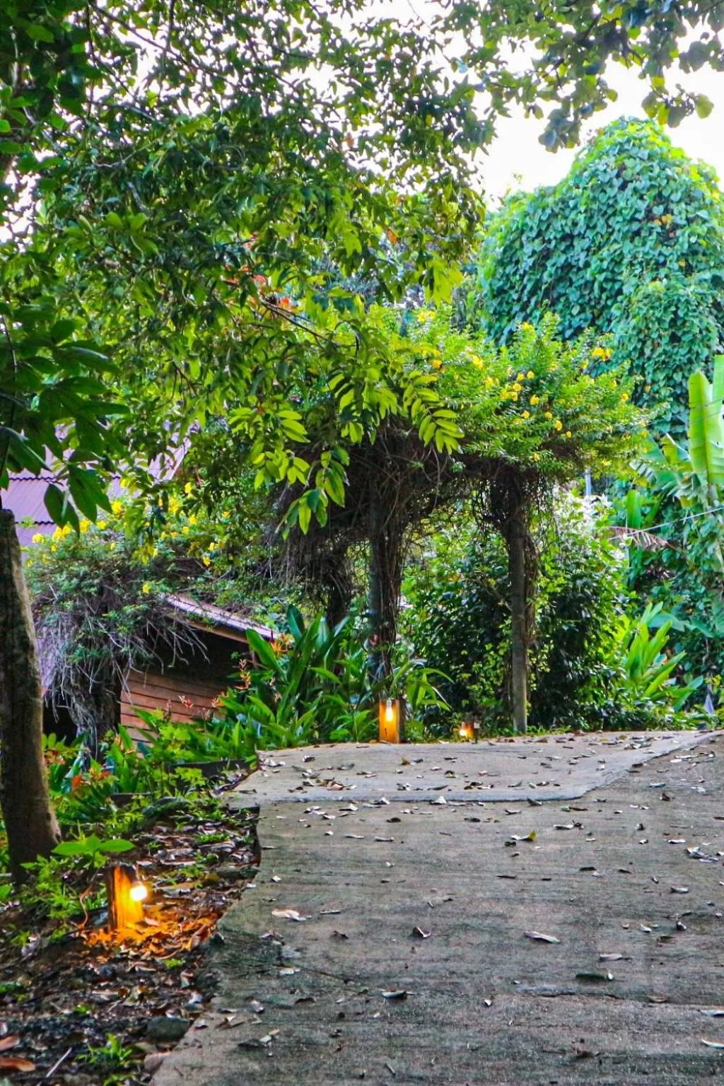 Day in Hillhouse - Koh Yao Noi