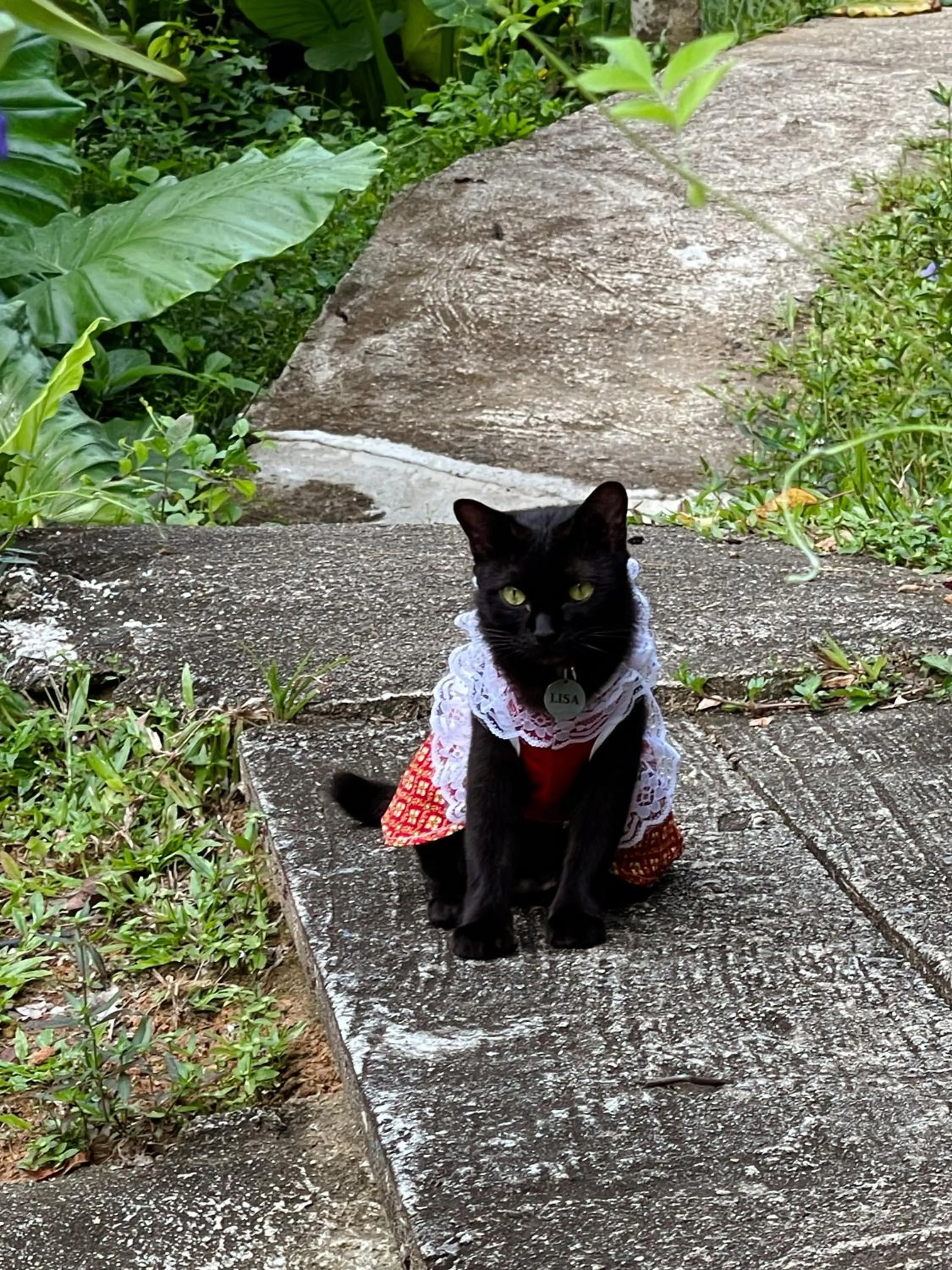 Day in Hillhouse - Koh Yao Noi