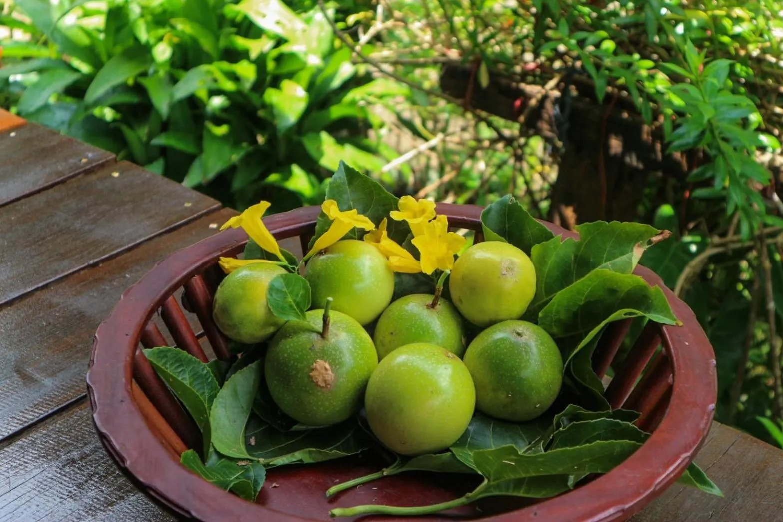 Day in Hillhouse - Koh Yao Noi