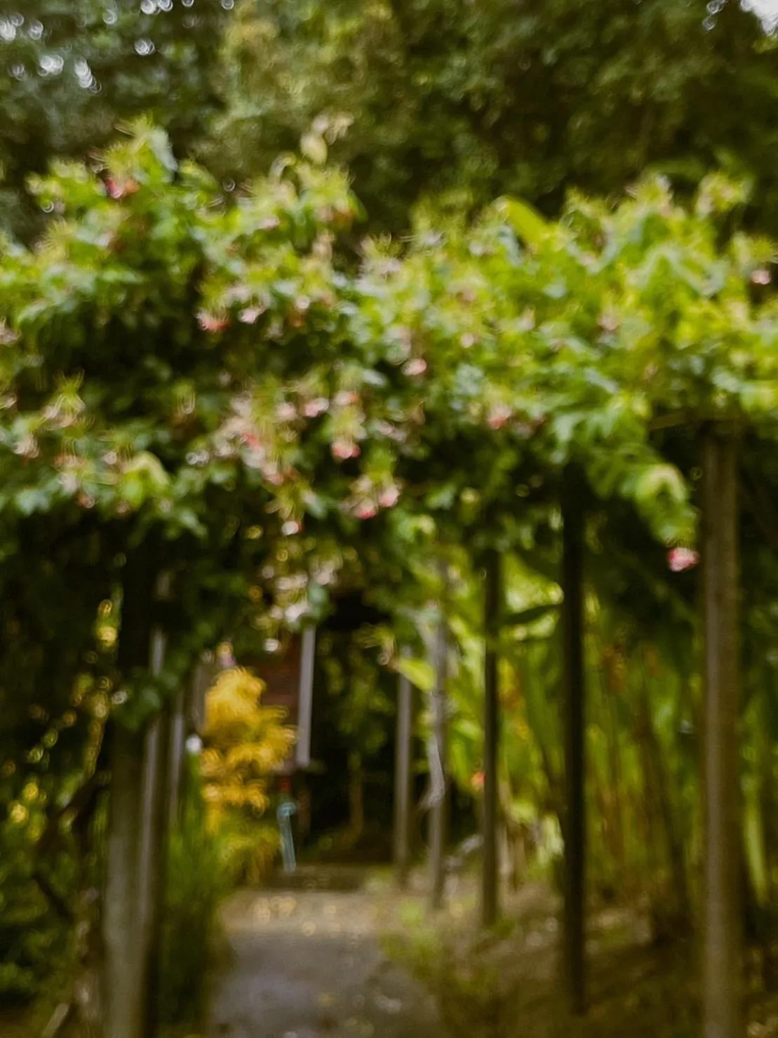 Day in Hillhouse - Koh Yao Noi