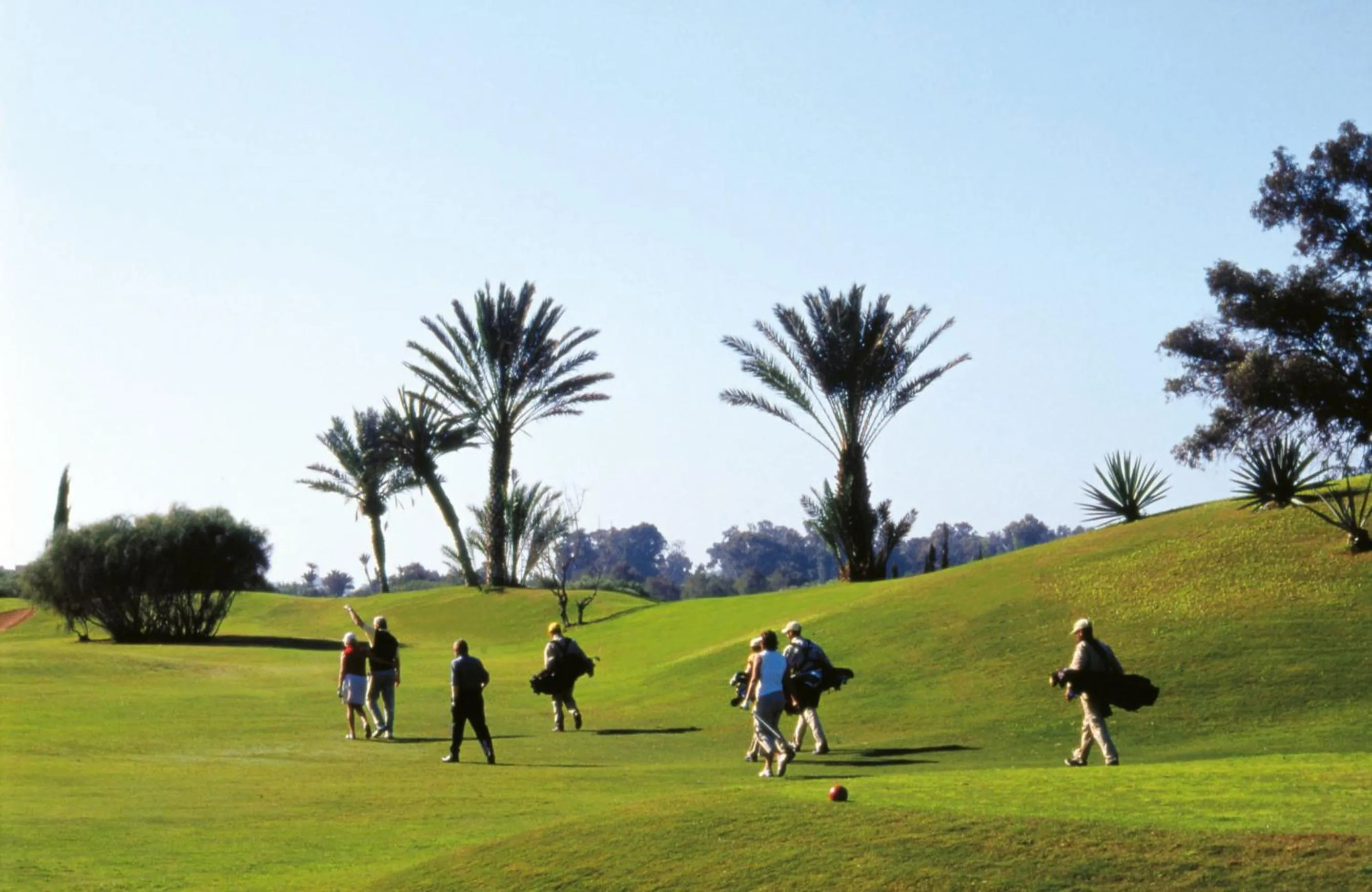 Activities in Hotel Riu Tikida Beach - Adults Only - All inclusive