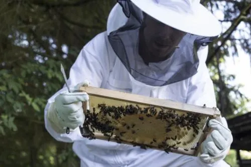 People in Meeressterne Hotel Forsthaus Damerow